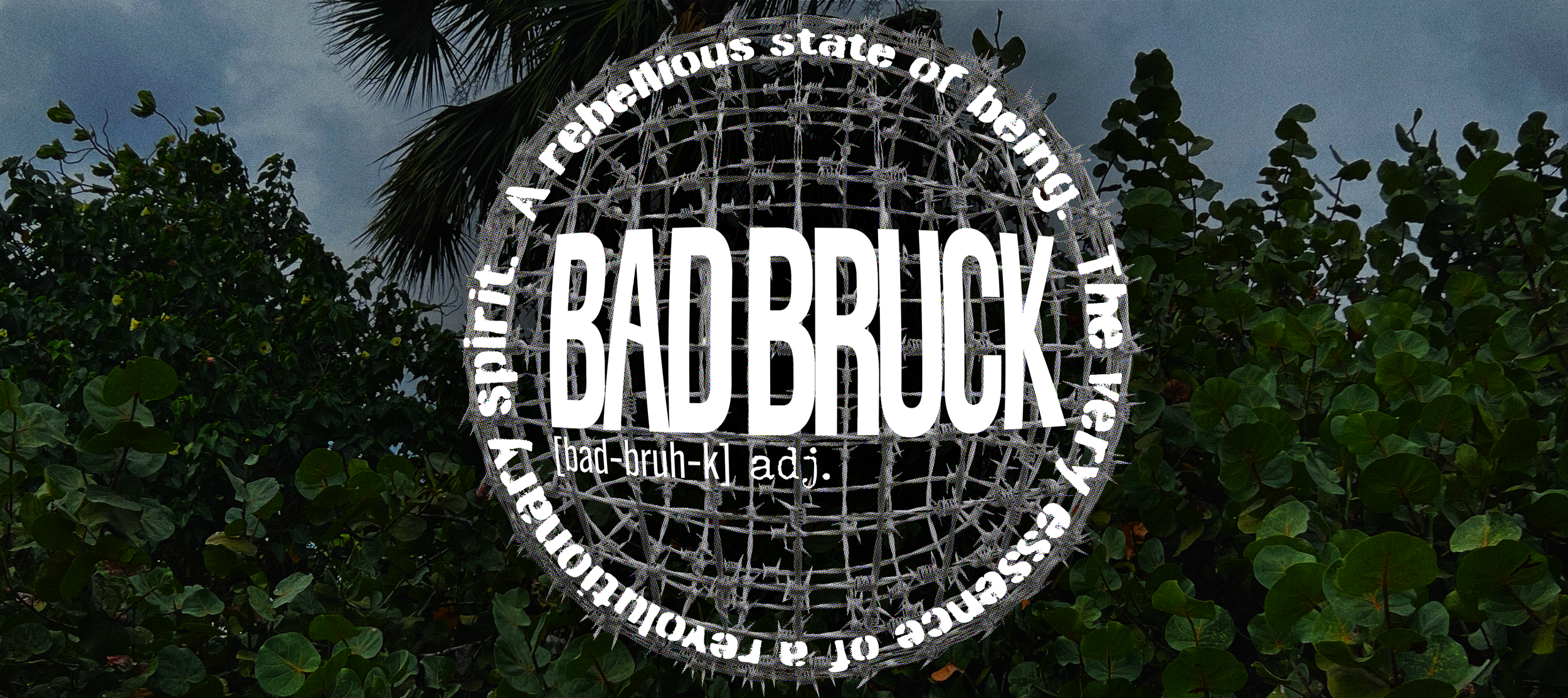 BABBRUCK DEFINITION CAROUSEL_CoastalFlora.png