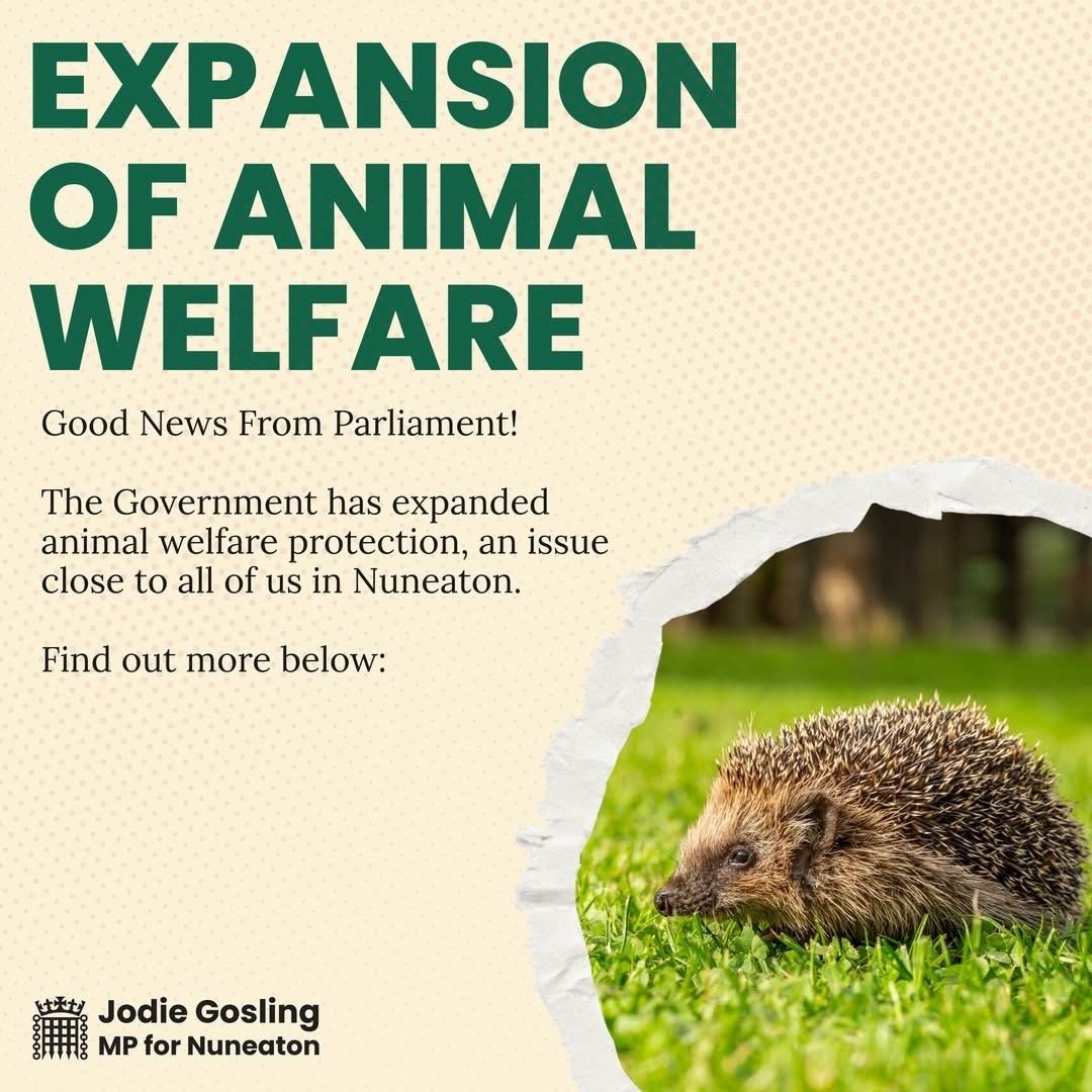 Raising the Bar on Animal Welfare&nbsp;