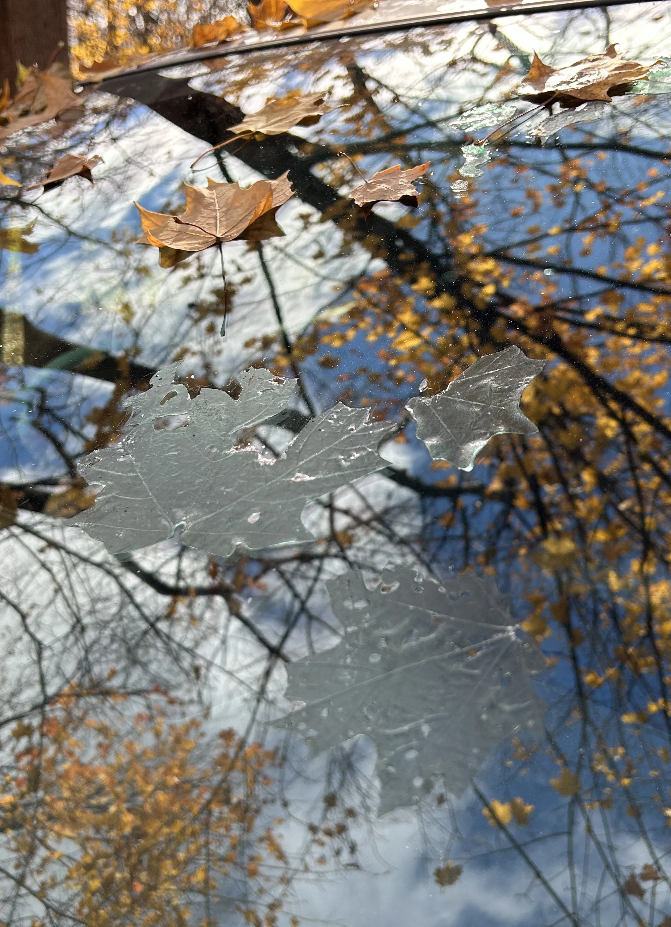 Physicians Must Demand Answers from WPATH