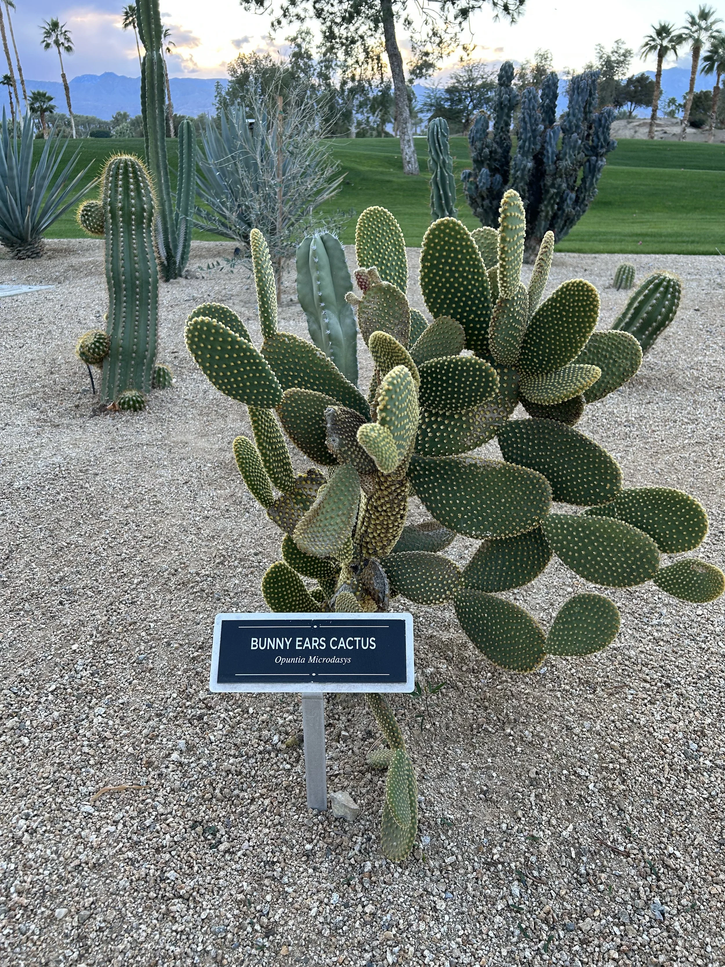 The Ob/Gyn Power Project is on TV!