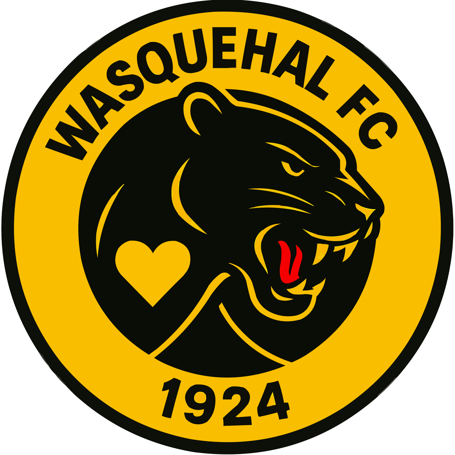 Wasquehal football club