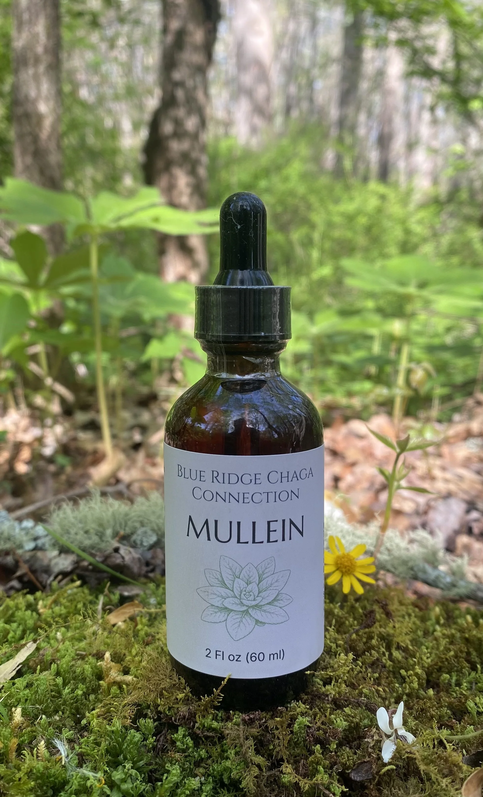 Mullein — Dual‑Extracted Herbal Extract