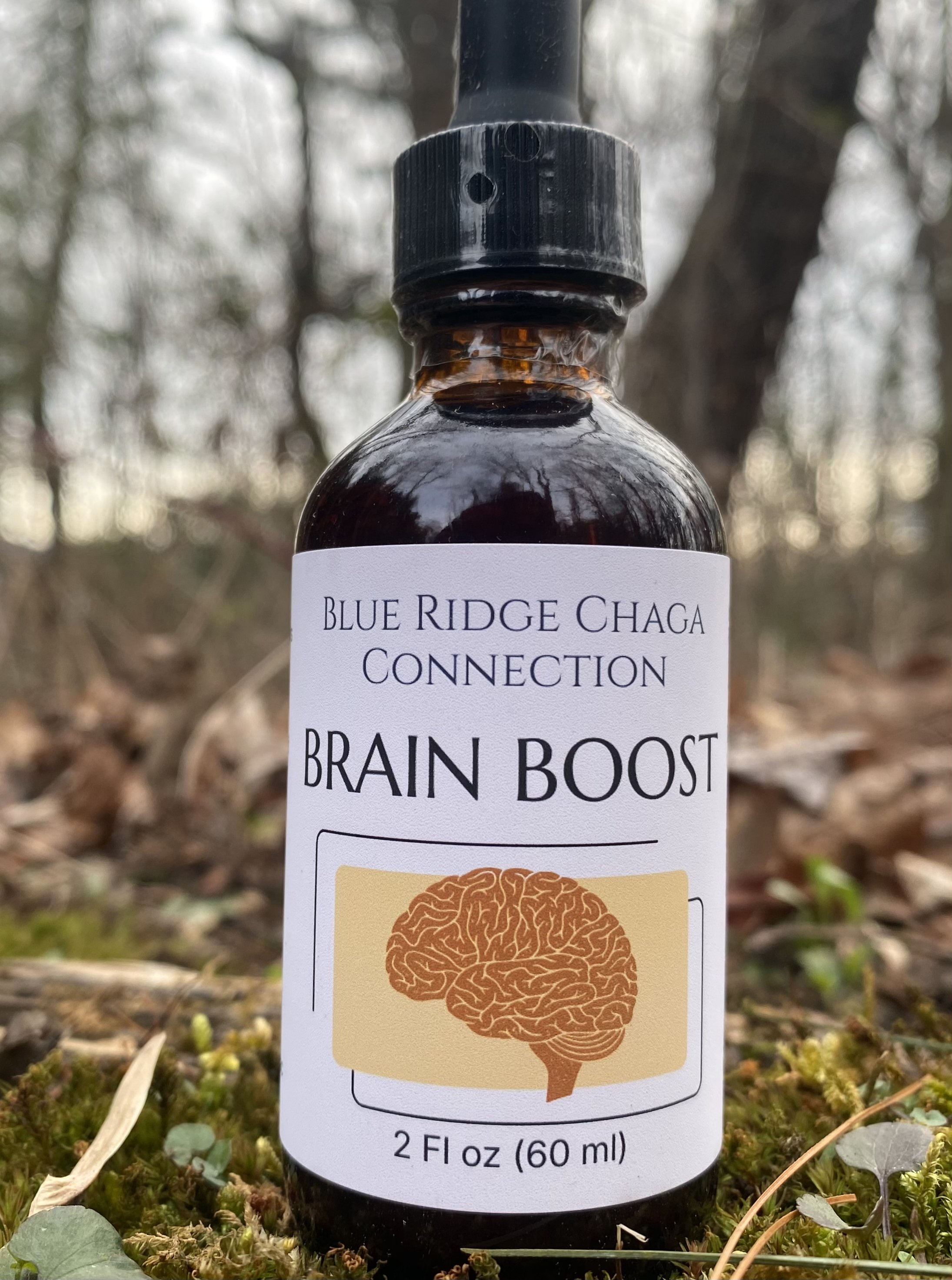 Brain Boost — Full‑Spectrum Mushroom Tonic