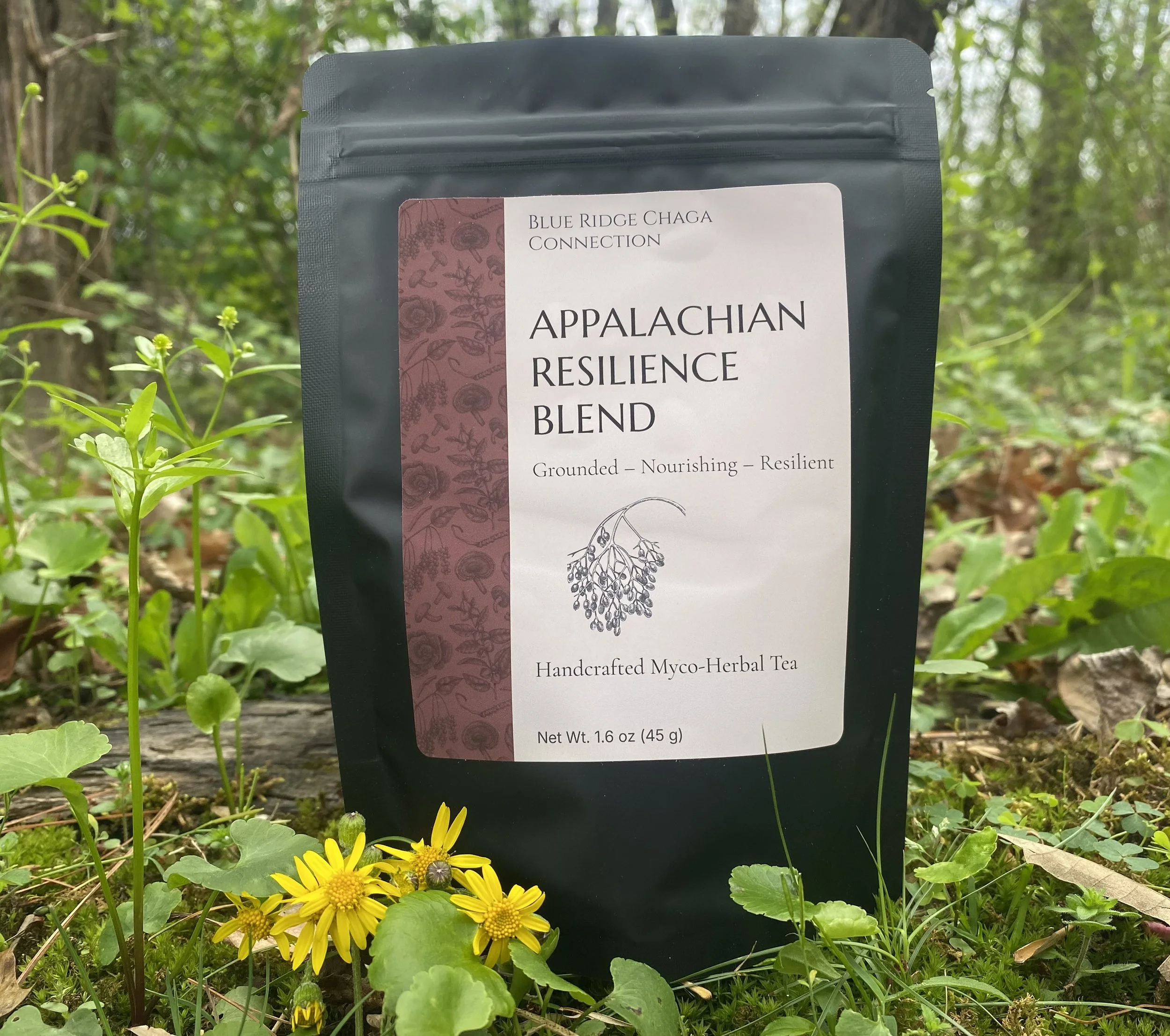 Appalachian Resilience Myco-Herbal Tea