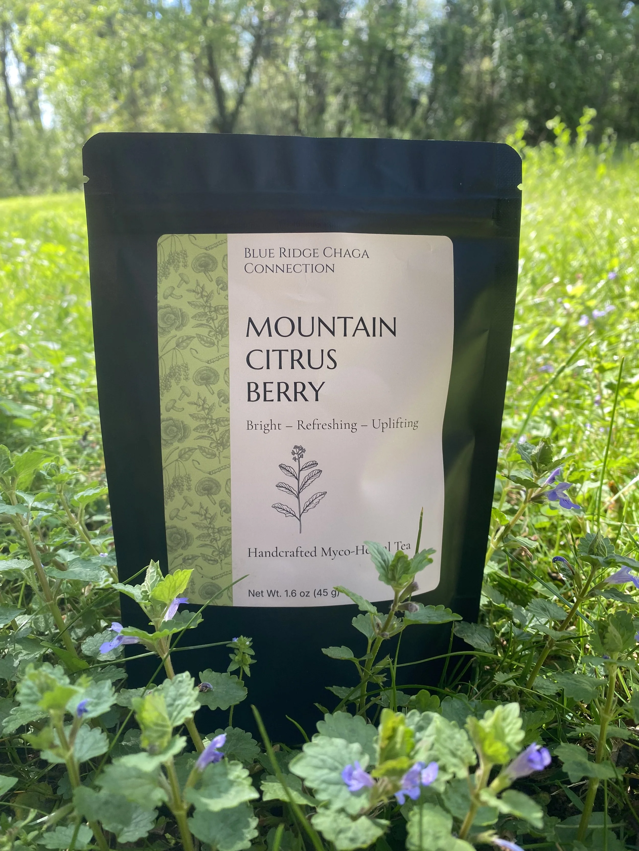Mountain Citrus Berry Myco-Herbal Tea