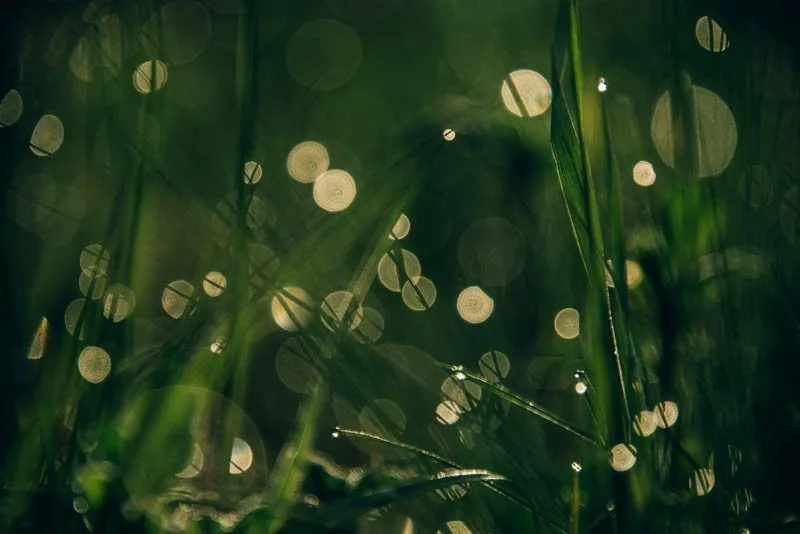 10 Small Mental Shifts to Reset Your Nervous System and Restore Clarity