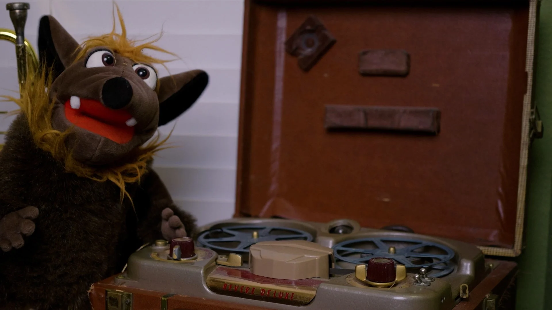 Wingo with old gear.jpg
