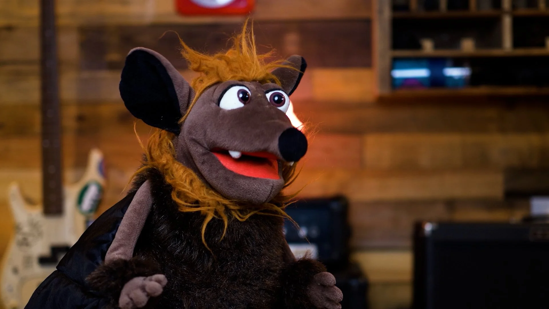Wingo in studio.jpg