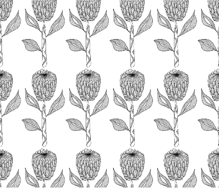 Screenshot 2022-11-04 at 15-33-48 Protea - oddduckpress - Spoonflower.png