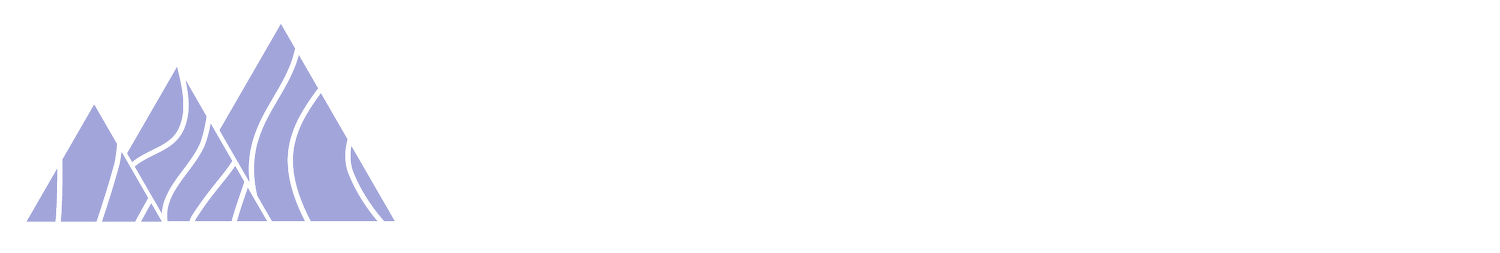 Growth Marketing Agency: Topo Growth