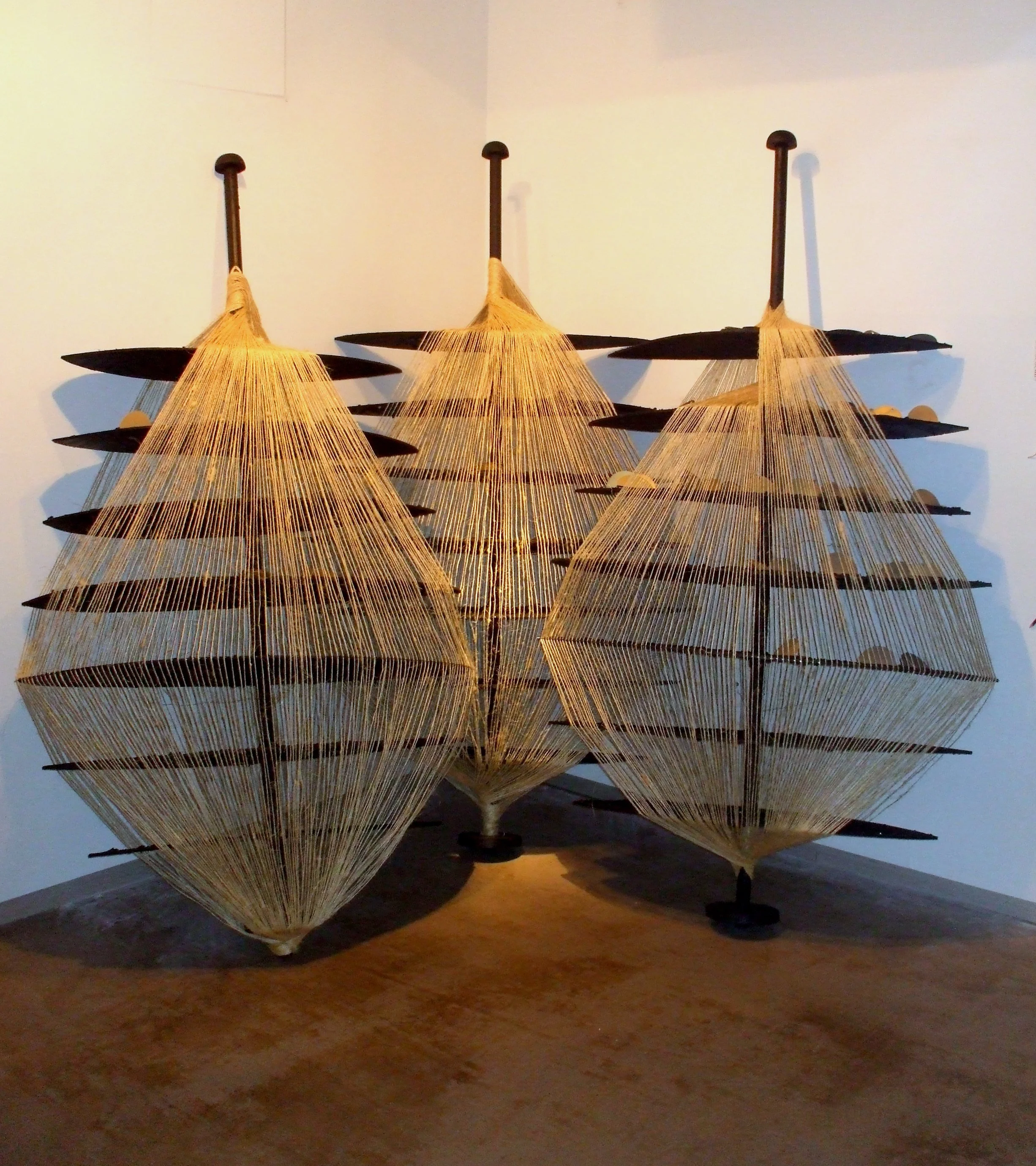 THE LAW OF GROWTH