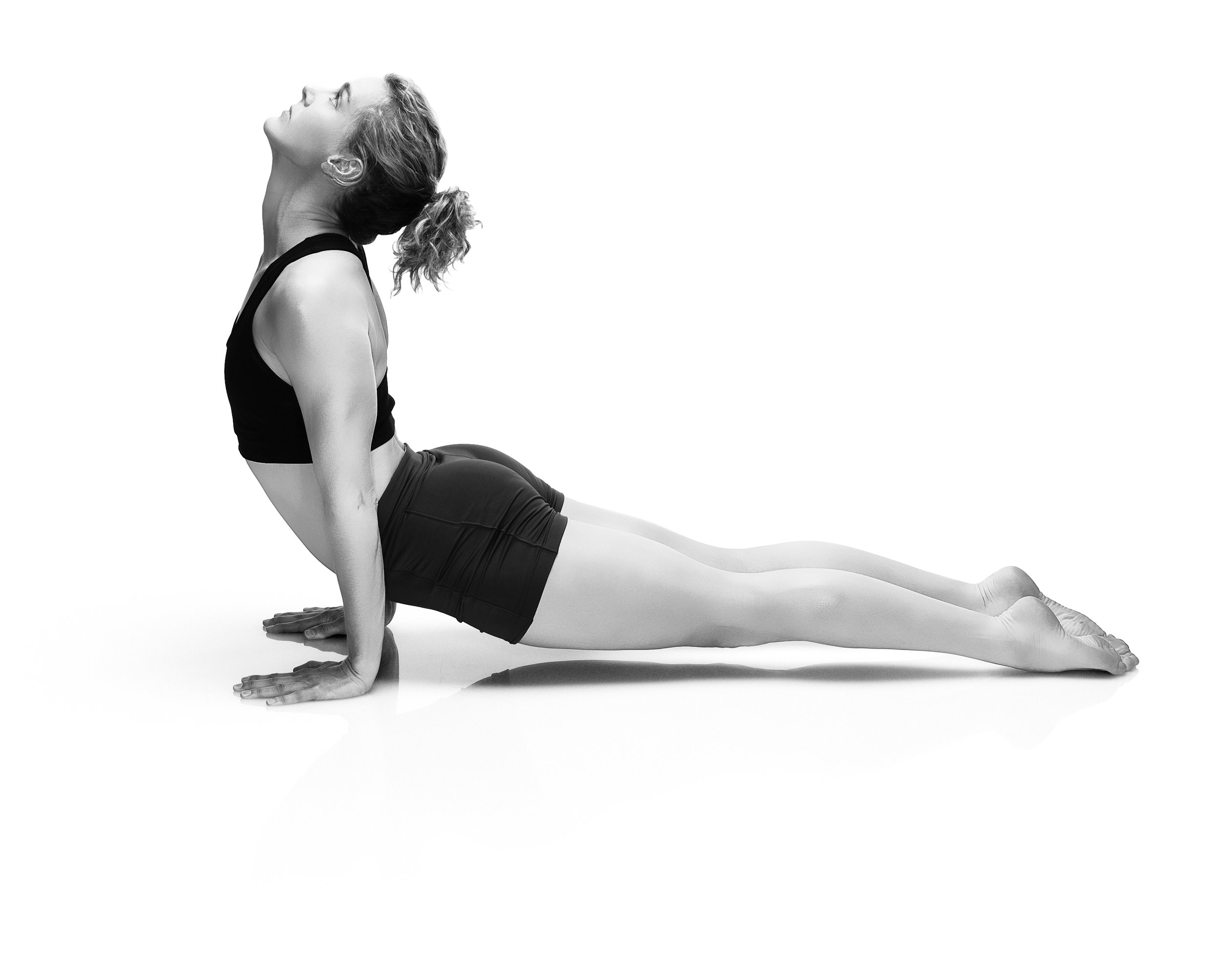 Horizon Fitness Catalog
