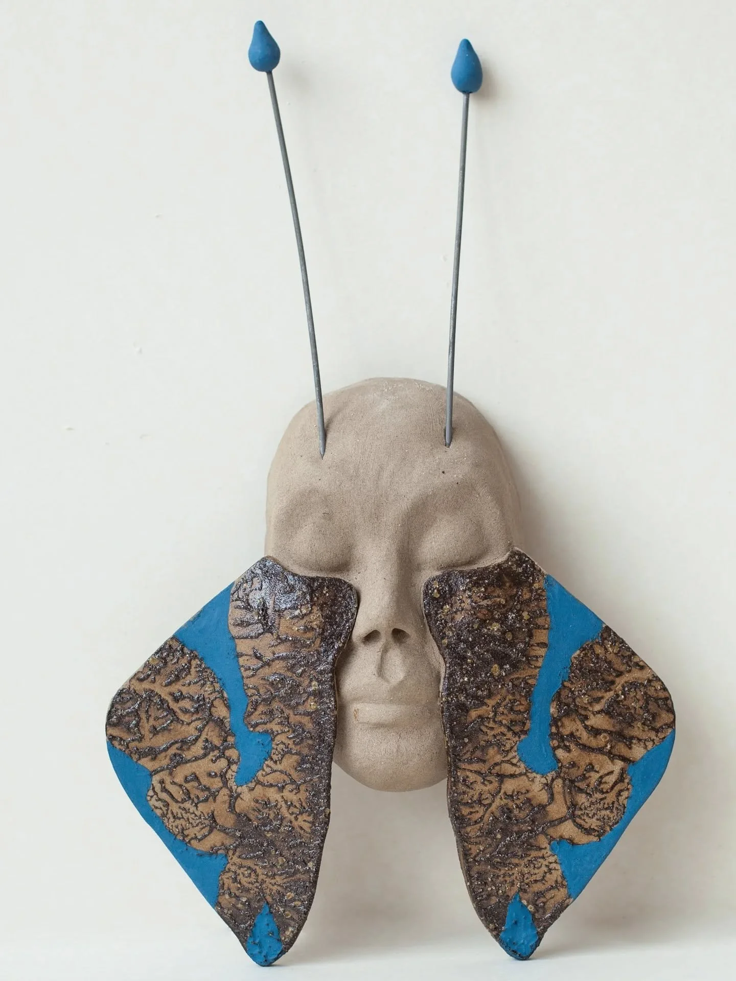 /butterlfy effect/ 

Stoneware, blue engobe, wild clay slip
Available for wall hanging

H~ 30 cm

#ceramics #ceramicart #art