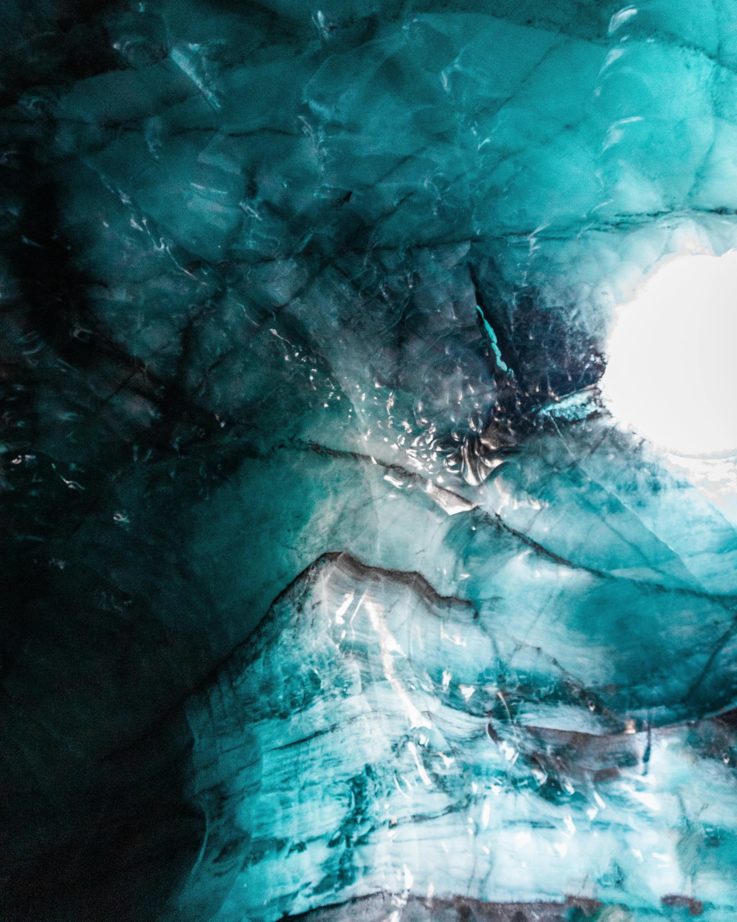 _54A4599 (wecompress.com).jpg