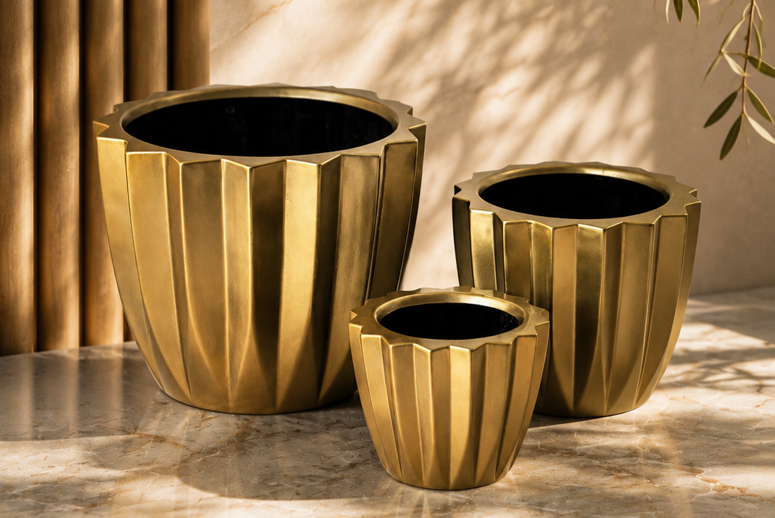 dorados