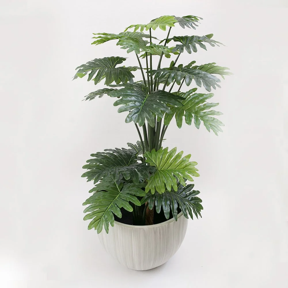 toreli(pt) y monstera.jpg
