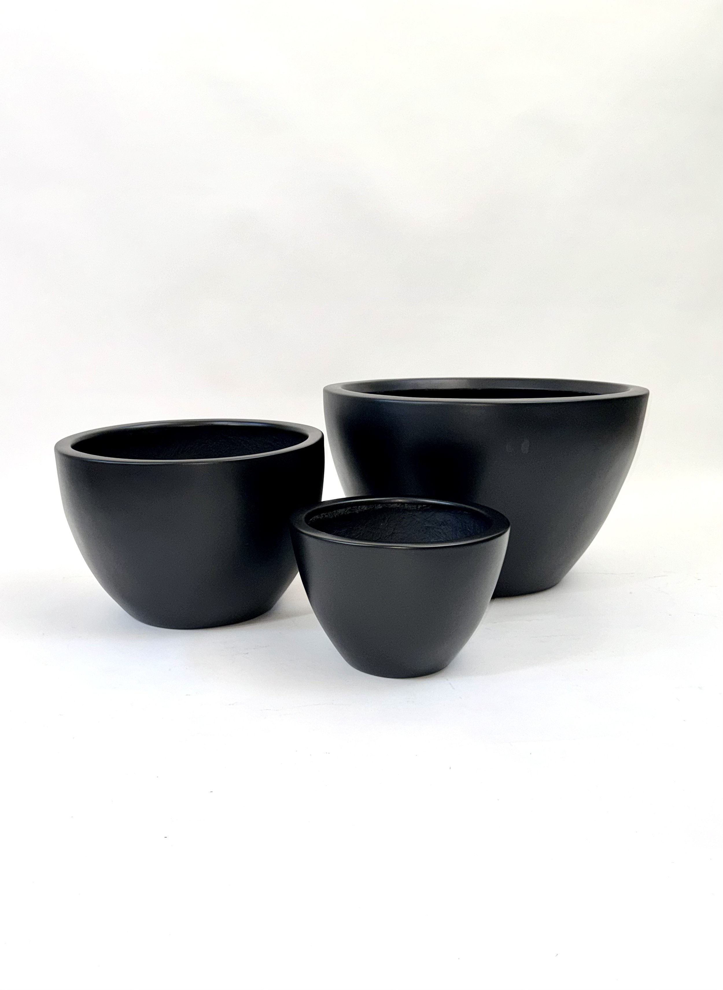 taz africano(ng).jpg