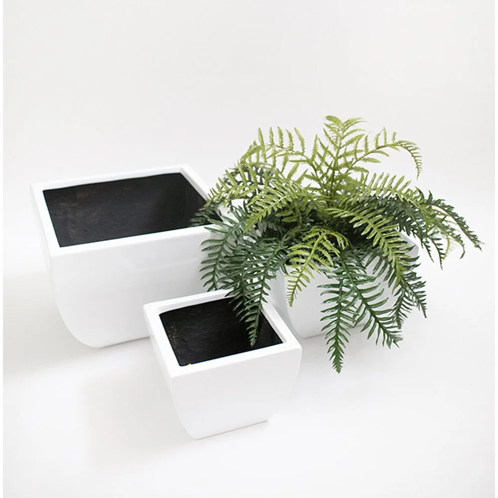 DALI 01, 02 Y 03 CP (BC).jpg