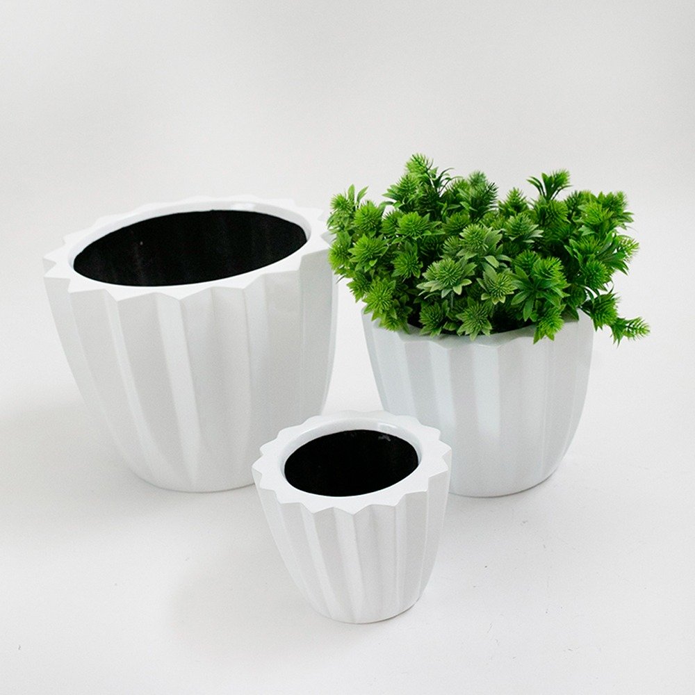 Capri c_follaje(bco).jpg