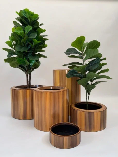 Cilindros (TK) @ plantas.jpg