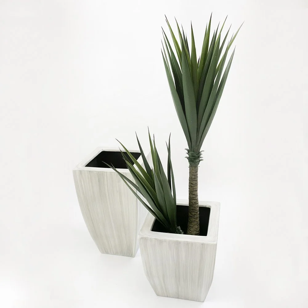 Argelia 01 y 02 @ sisal x2.jpg