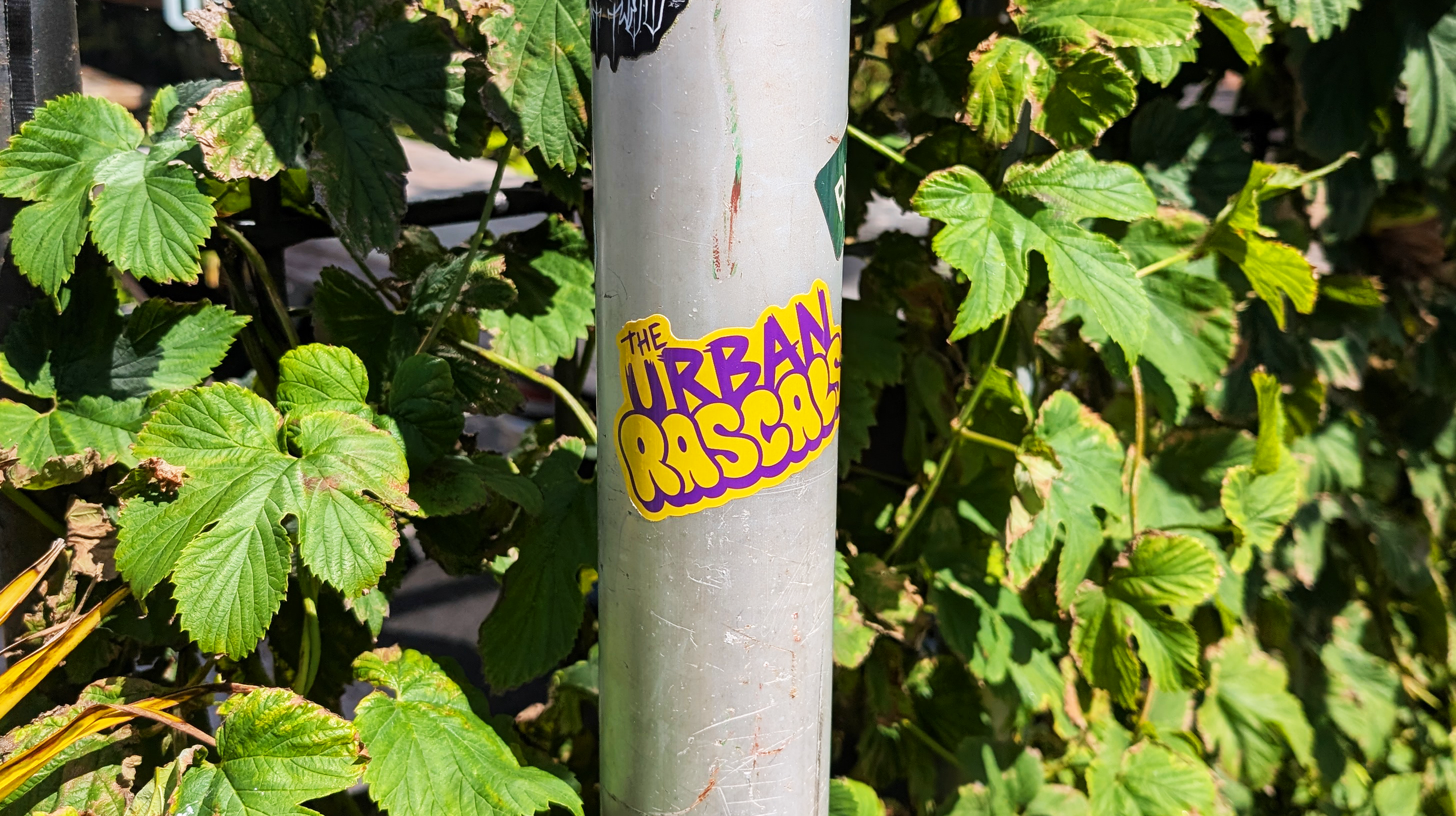 A sticker with the text "The Urban Rascals" on a gray metal pole surrounded by green leaves.