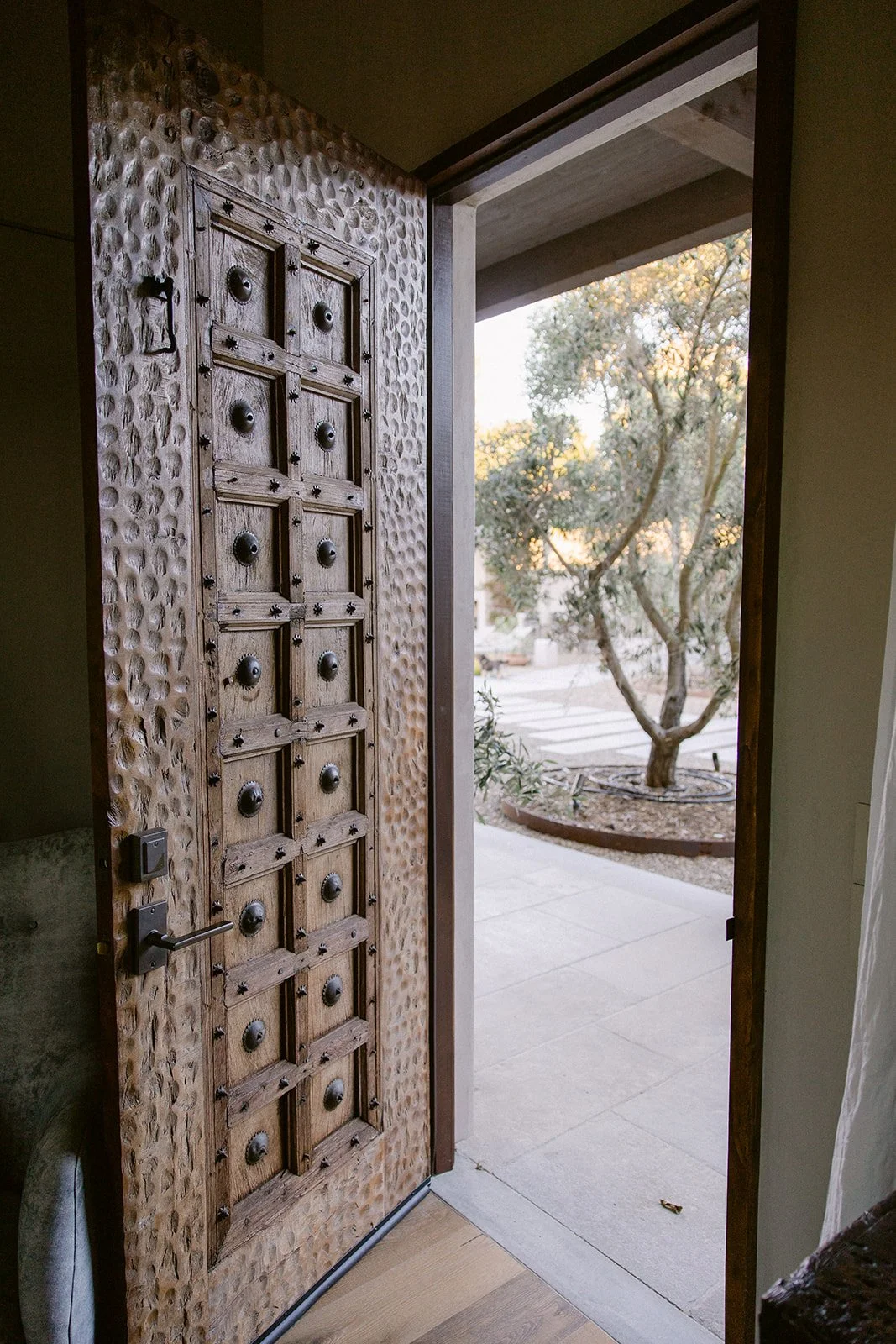 Indian Door with Olive Tree.jpg