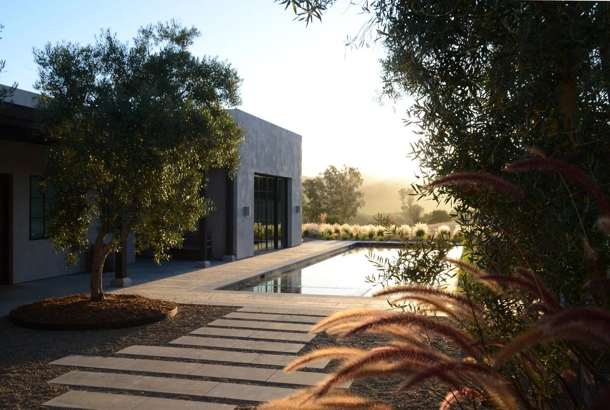 Modern house with large windows, outdoor pool, stone walkway, trees, and plants during sunset.