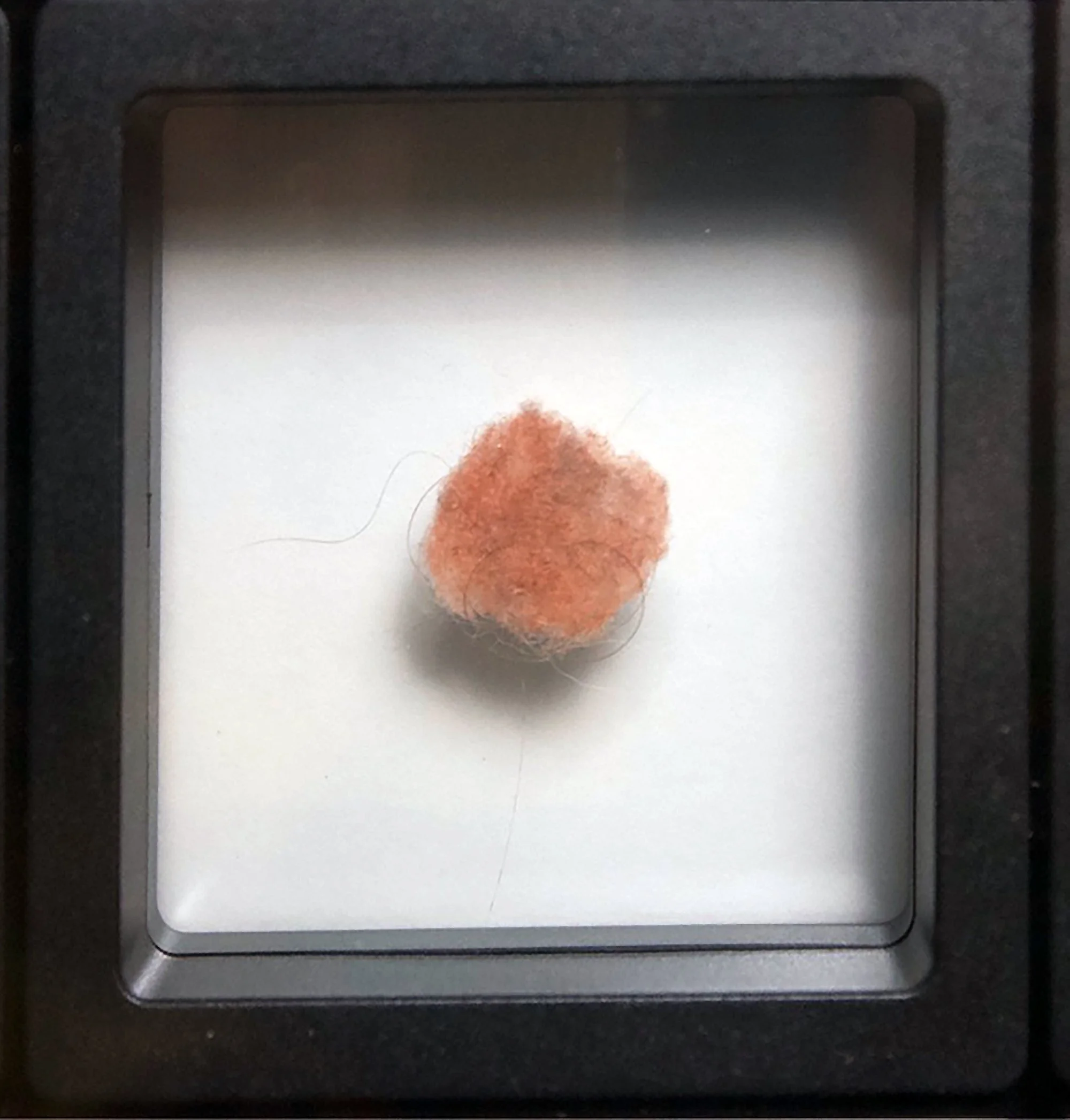Salstrom Objects: After Messier and his Objects (2025) [DETAIL].
110 collected belly button lints displayed in a manner similar to Charles Messier's catalogue of astronomical objects he discovered.