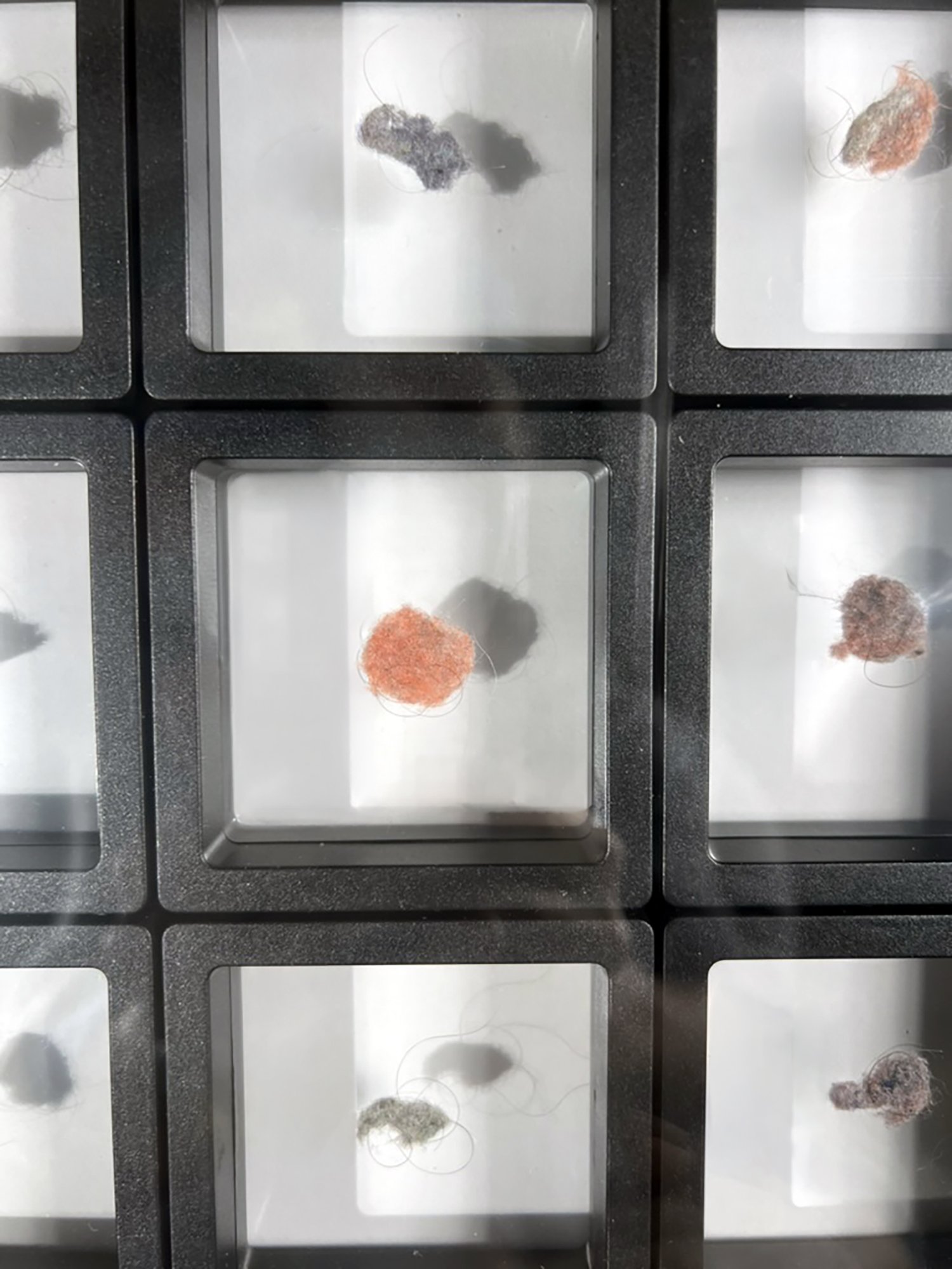 Salstrom Objects: After Messier and his Objects (2025) [DETAIL].
110 collected belly button lints displayed in a manner similar to Charles Messier's catalogue of astronomical objects he discovered.
