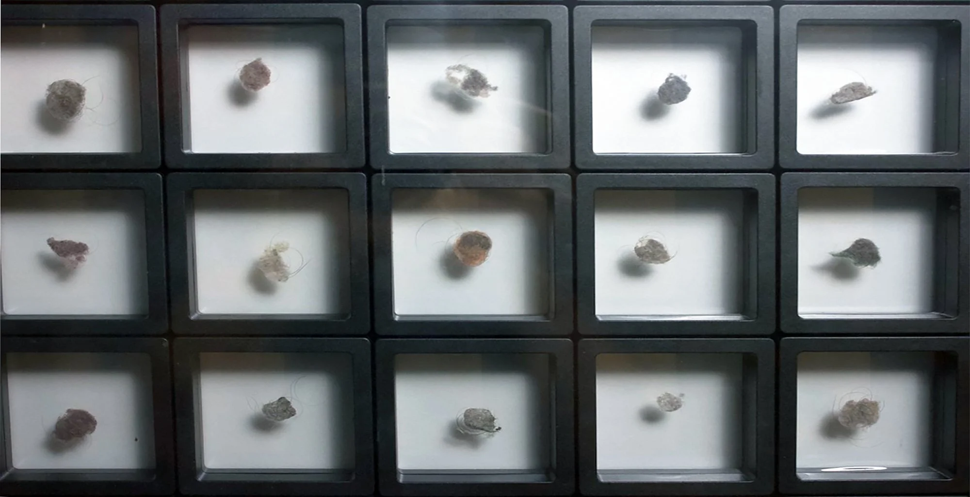 Salstrom Objects: After Messier and his Objects (2025) [DETAIL].
110 collected belly button lints displayed in a manner similar to Charles Messier's catalogue of astronomical objects he discovered.