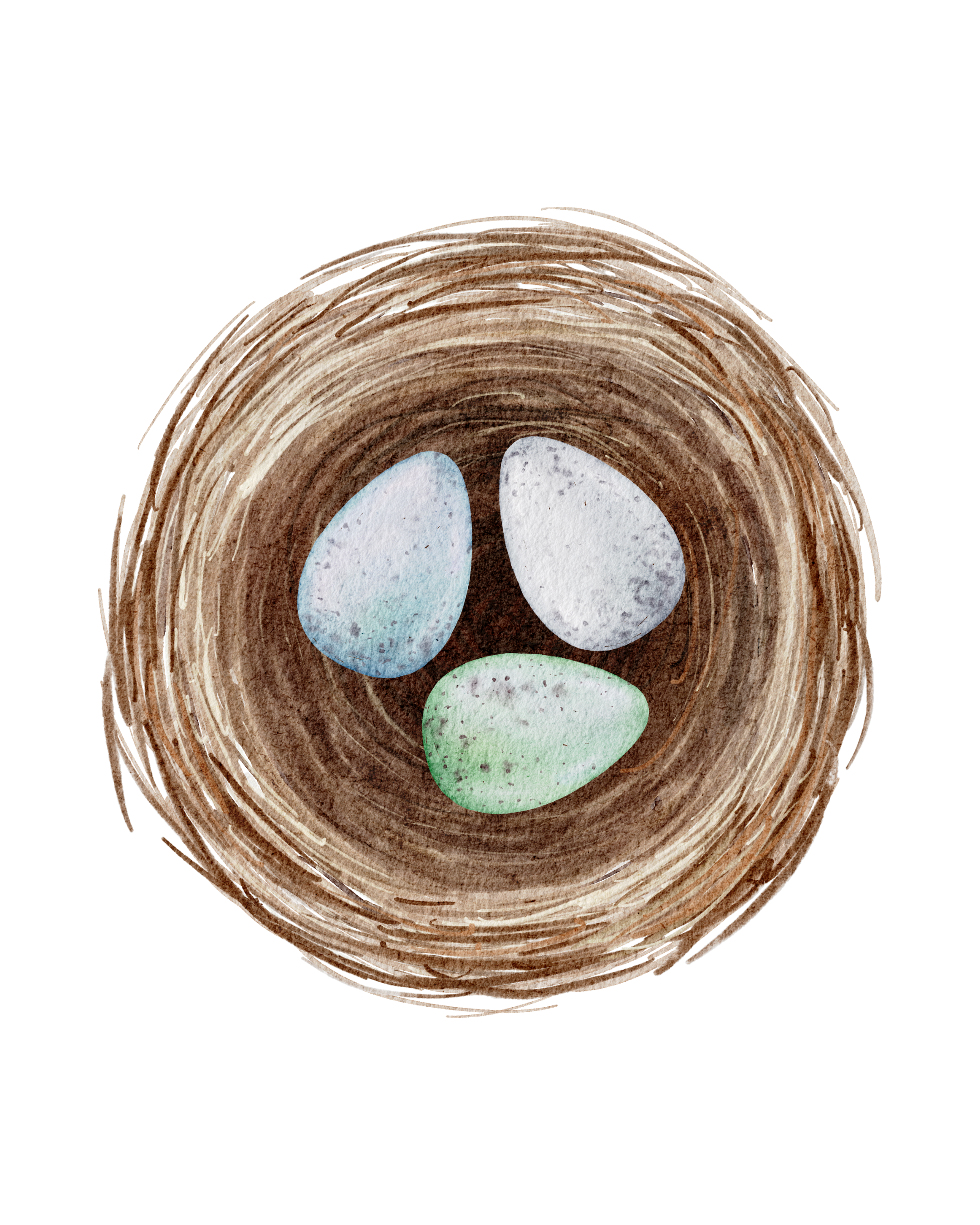 Top view of a bird's nest with three blue eggs and one green egg inside.