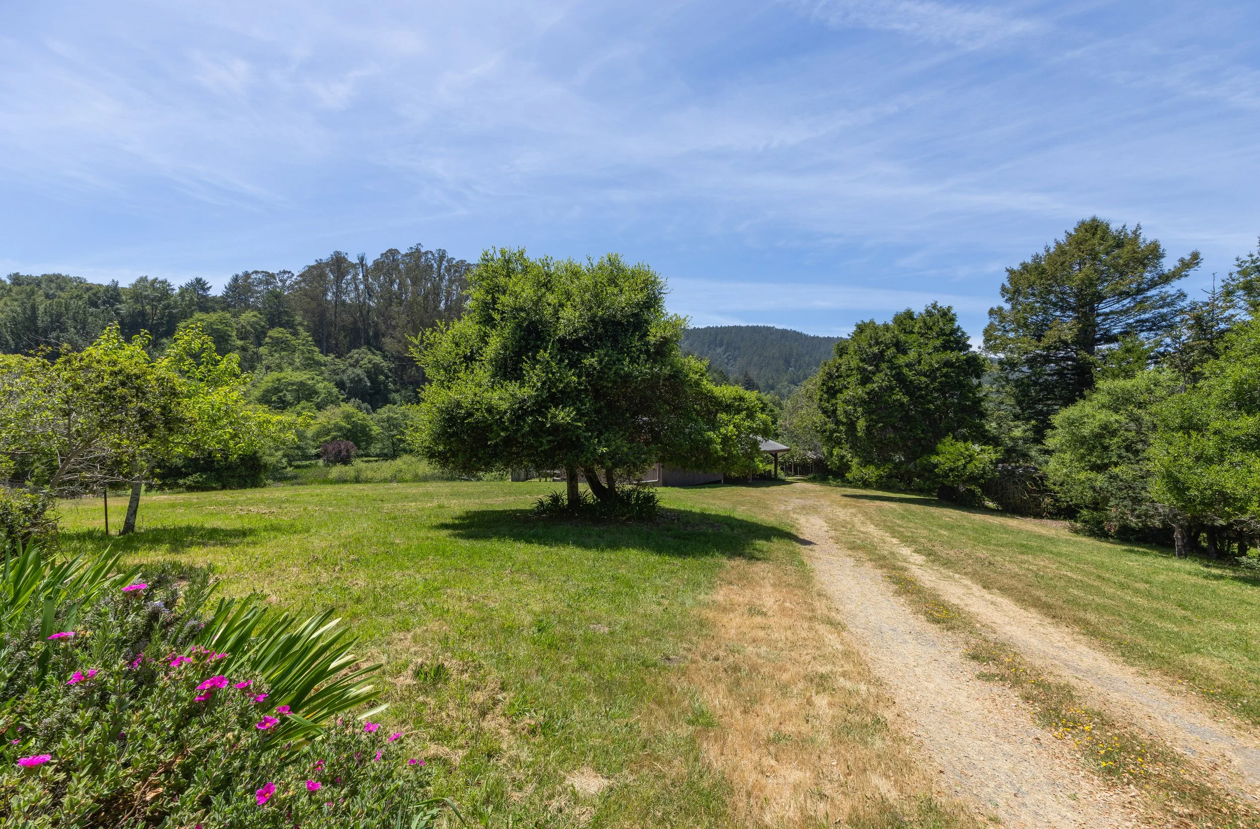 5995Hwy1 15 MLS.jpg