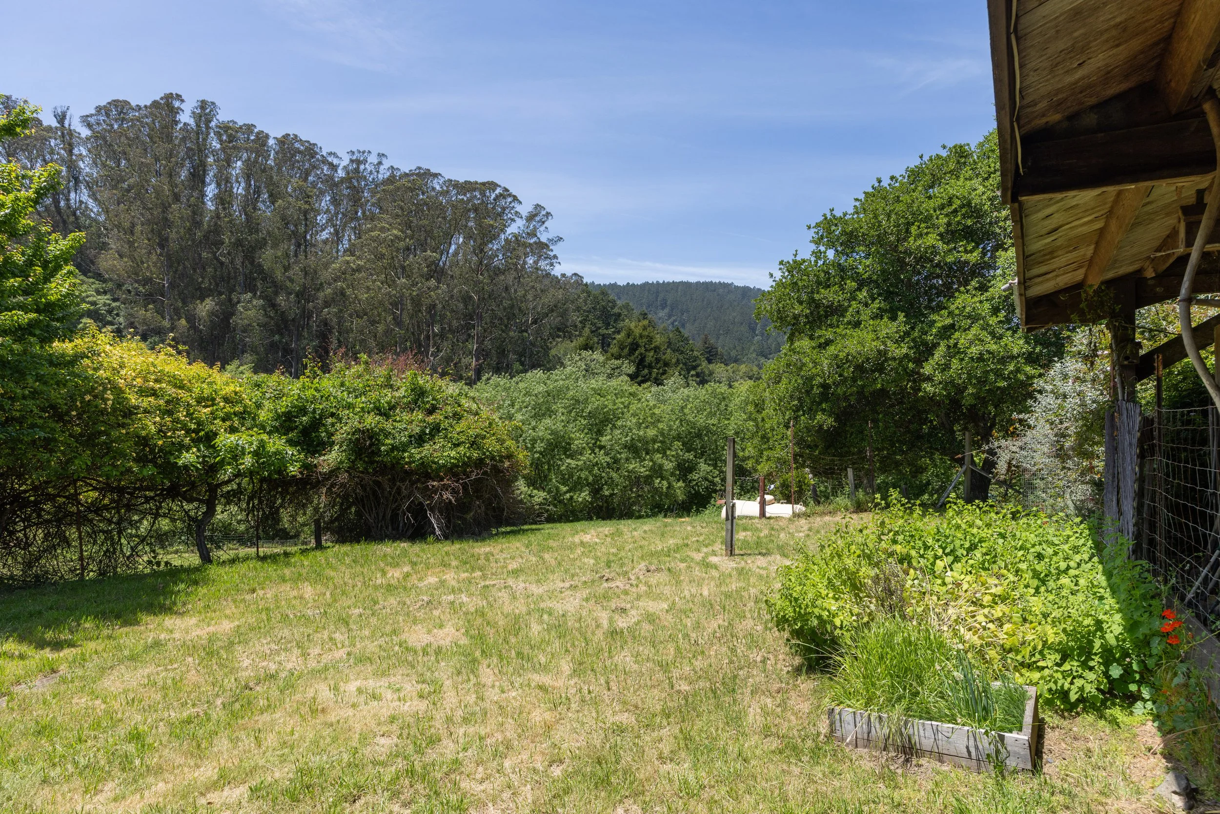 5995Hwy1 55 MLS.jpg