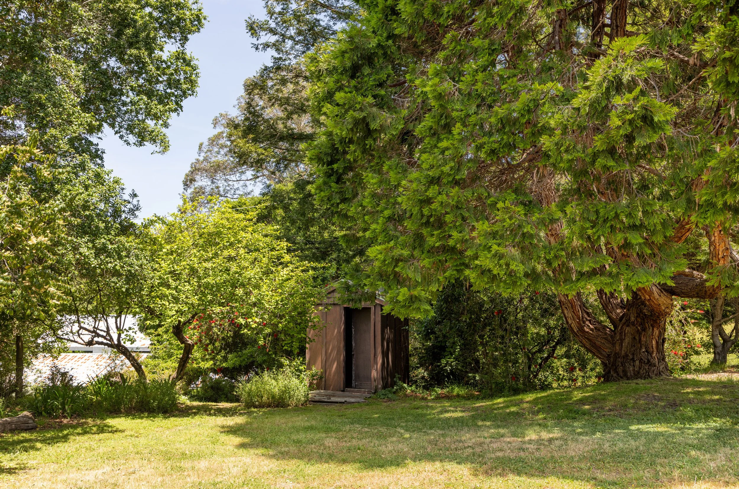 5995Hwy1 59 MLS.jpg