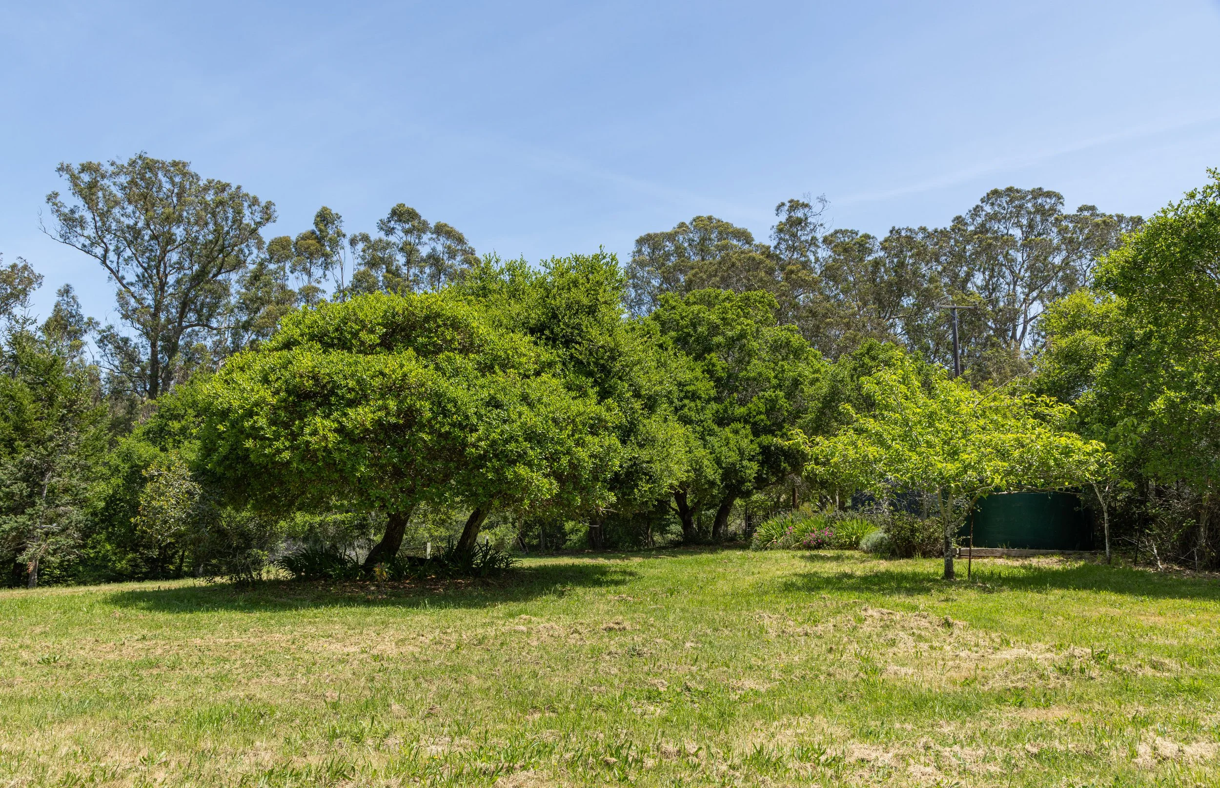 5995Hwy1 24 MLS.jpg
