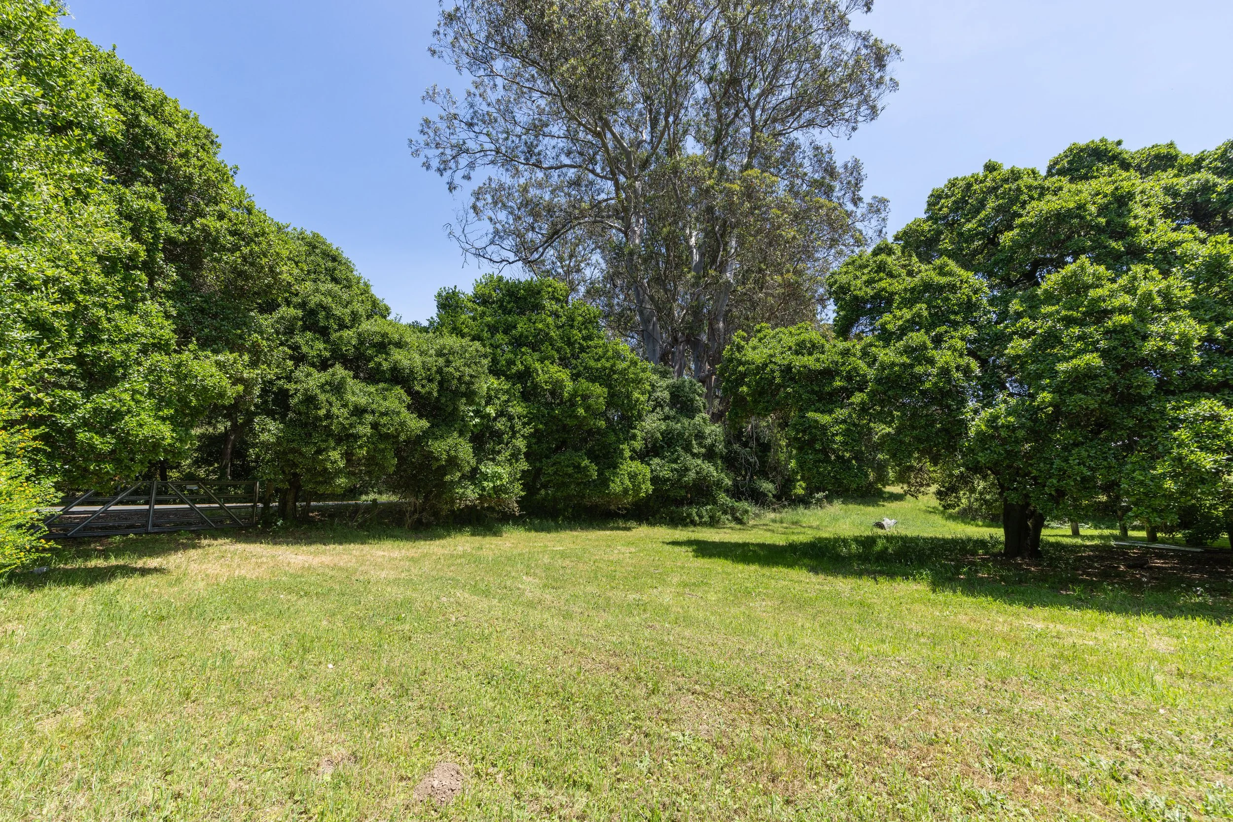 5995Hwy1 111 MLS.jpg