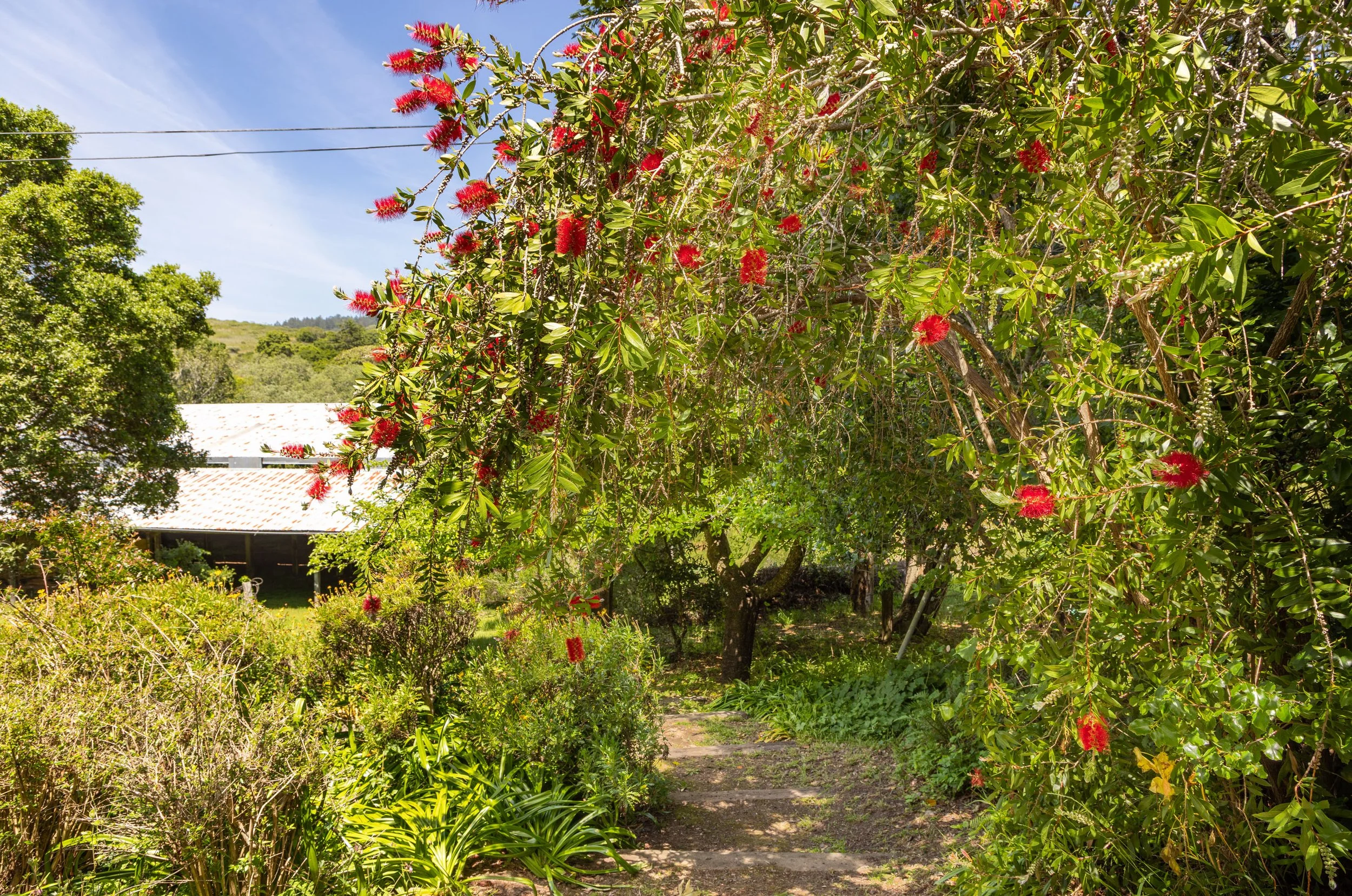 5995Hwy1 61 MLS.jpg