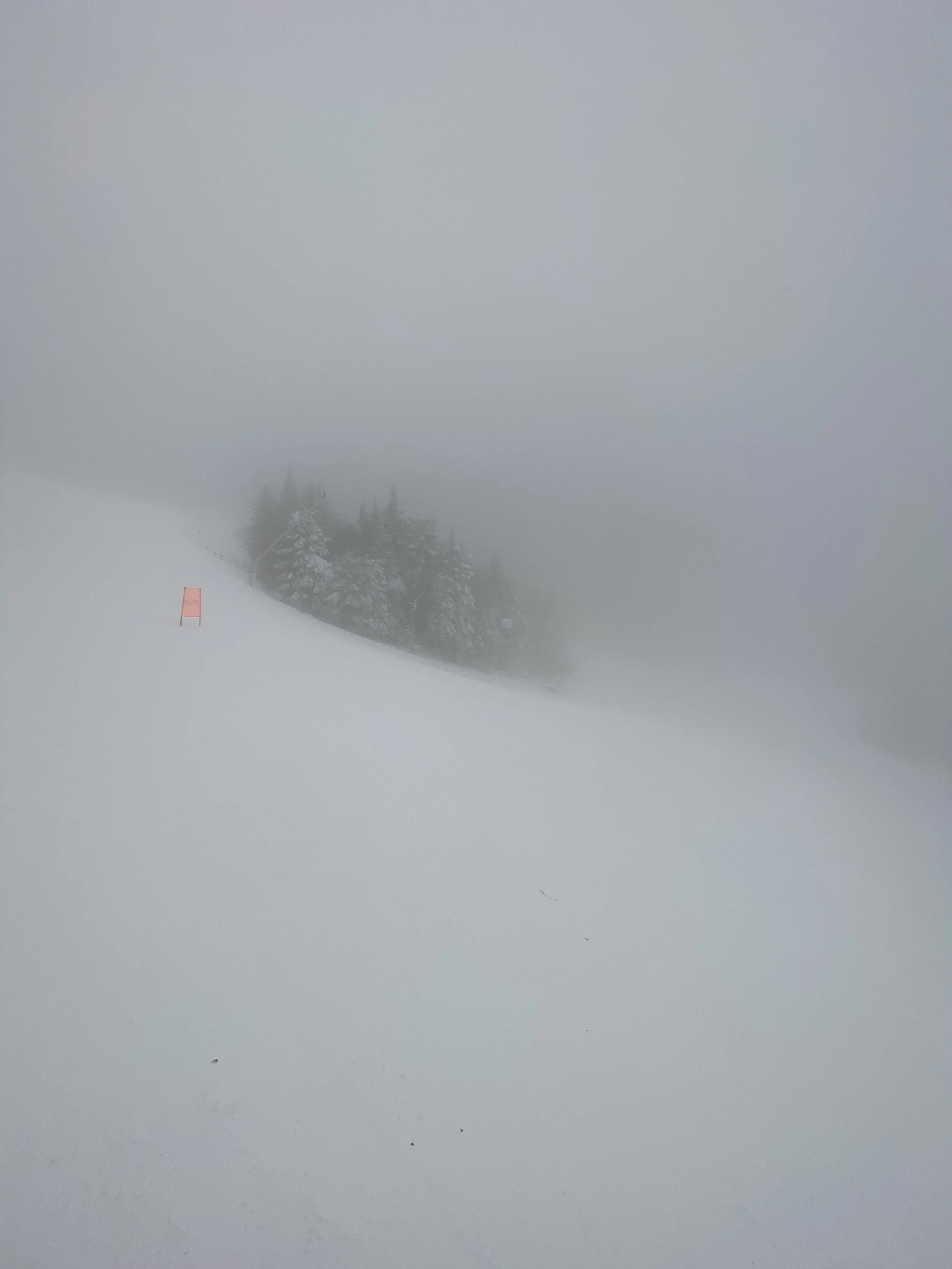 SKIING THROUGH LOW VISIBILITY AT WHITEFACE MOUNTAIN