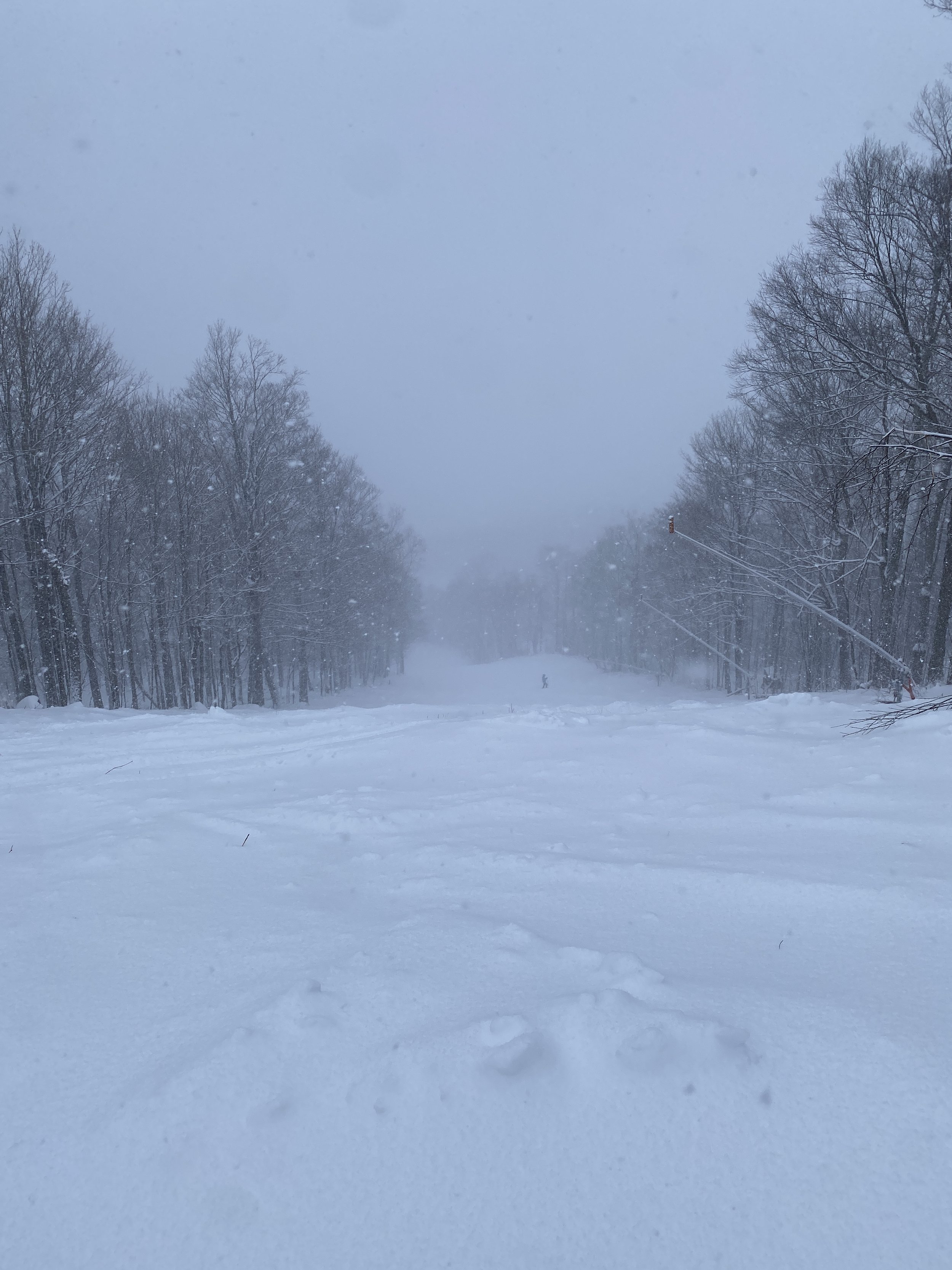 FRESH SNOW MAKES FOR A GREAT DAY SKIING WHITEFACE