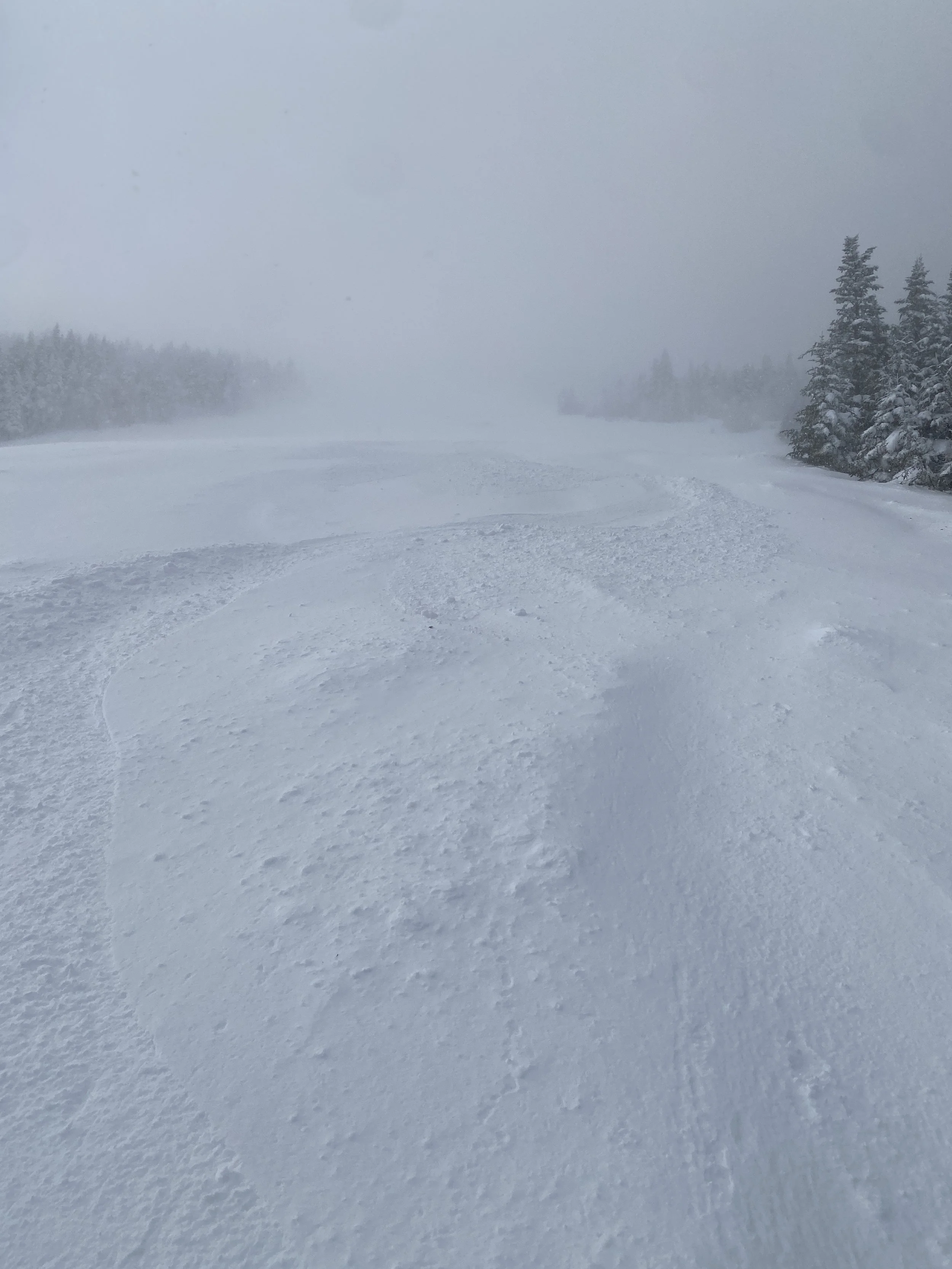 INCREDIBLE POWDER DAY AT WHITEFACE