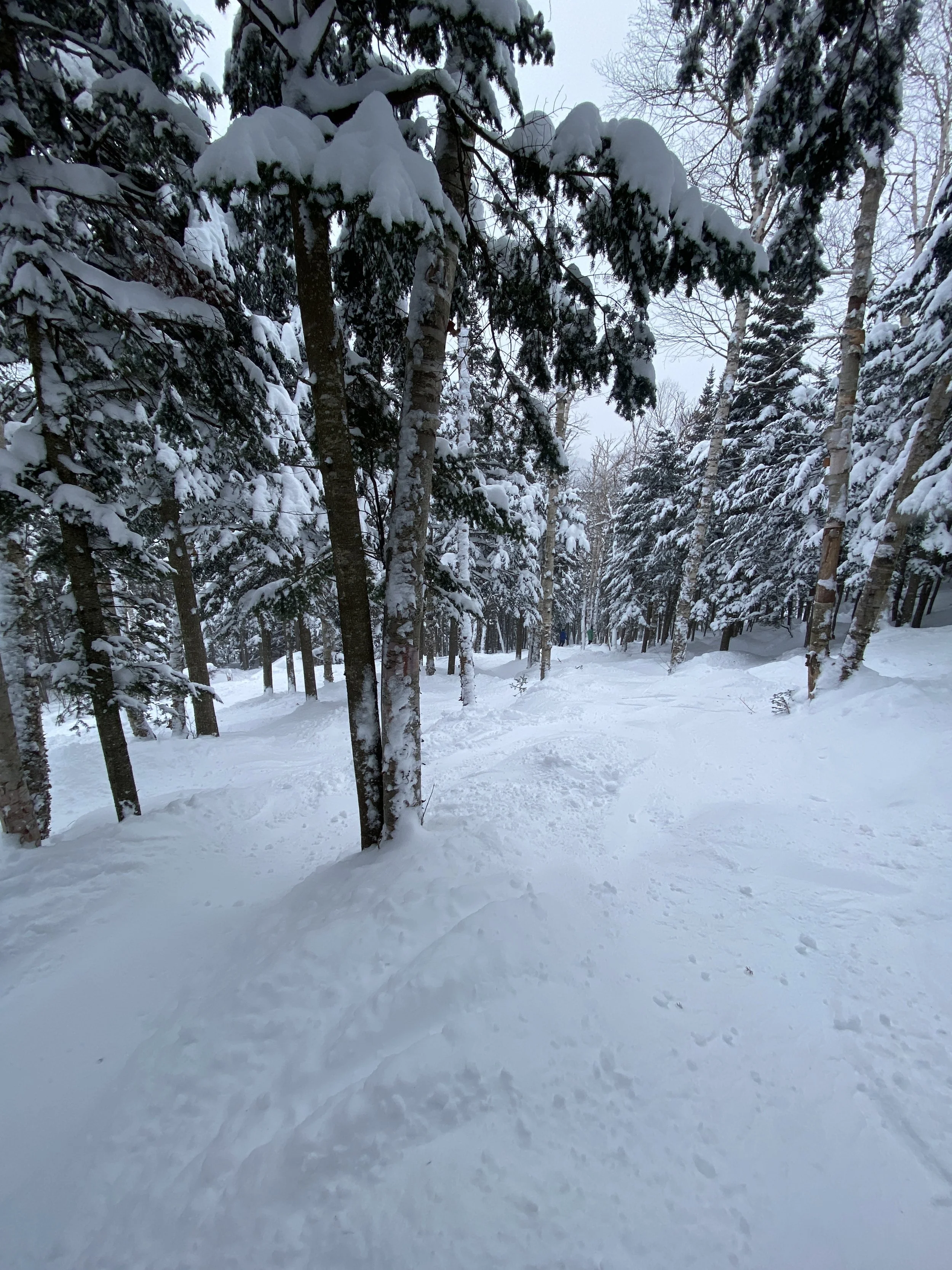 POWDER AFTERNOON AT WHITEFACE