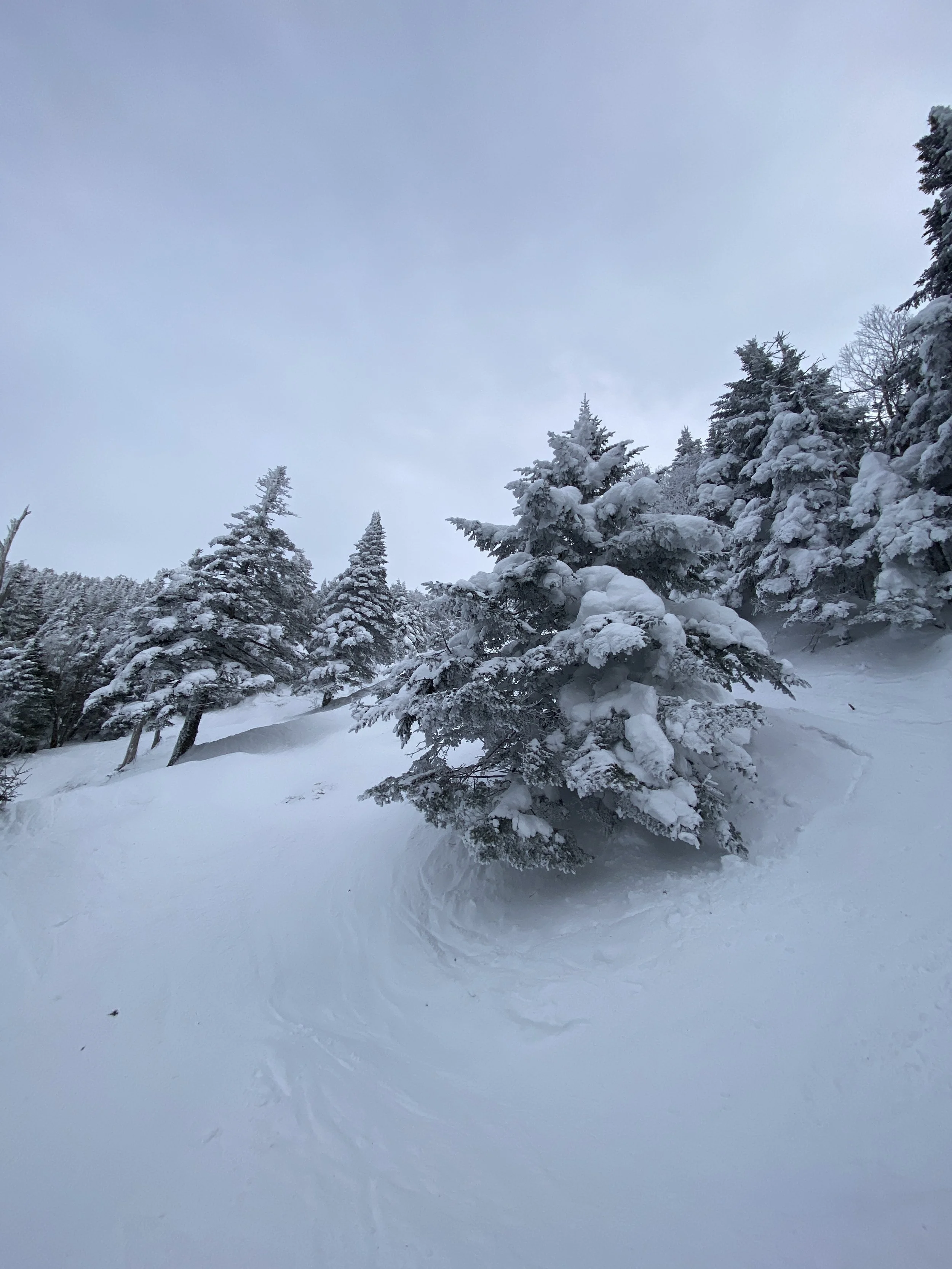 SKIING THE TREES AND BUMPS AT SMUGGLERS’ NOTCH