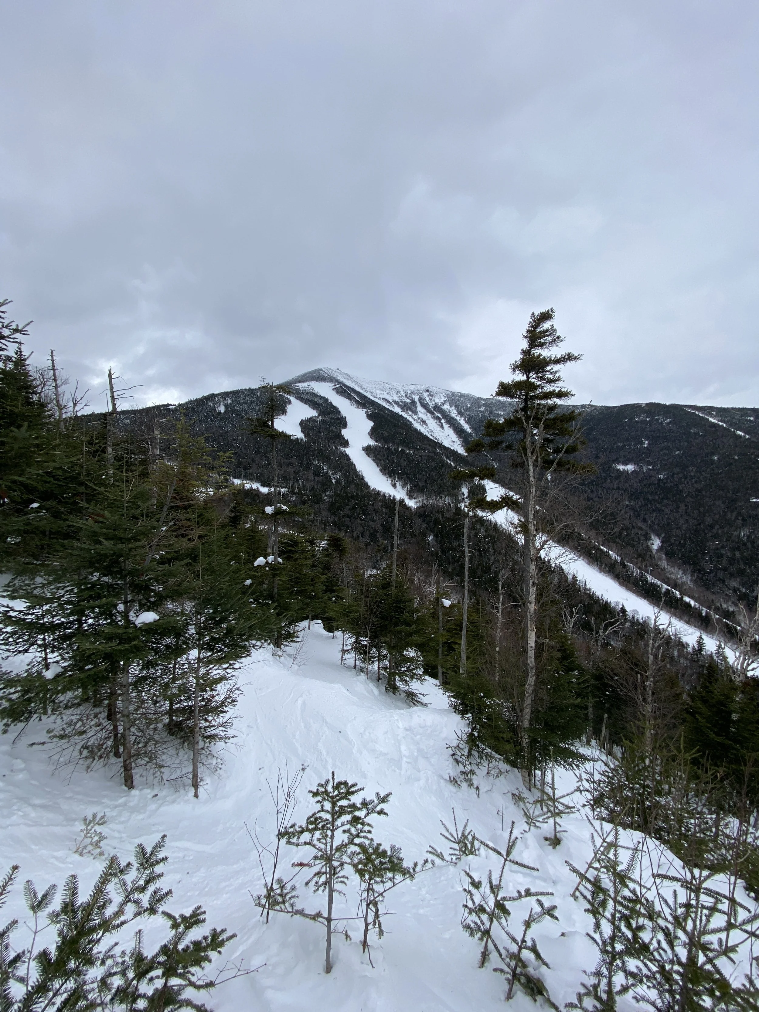 MARCH SKIING AT WHITEFACE