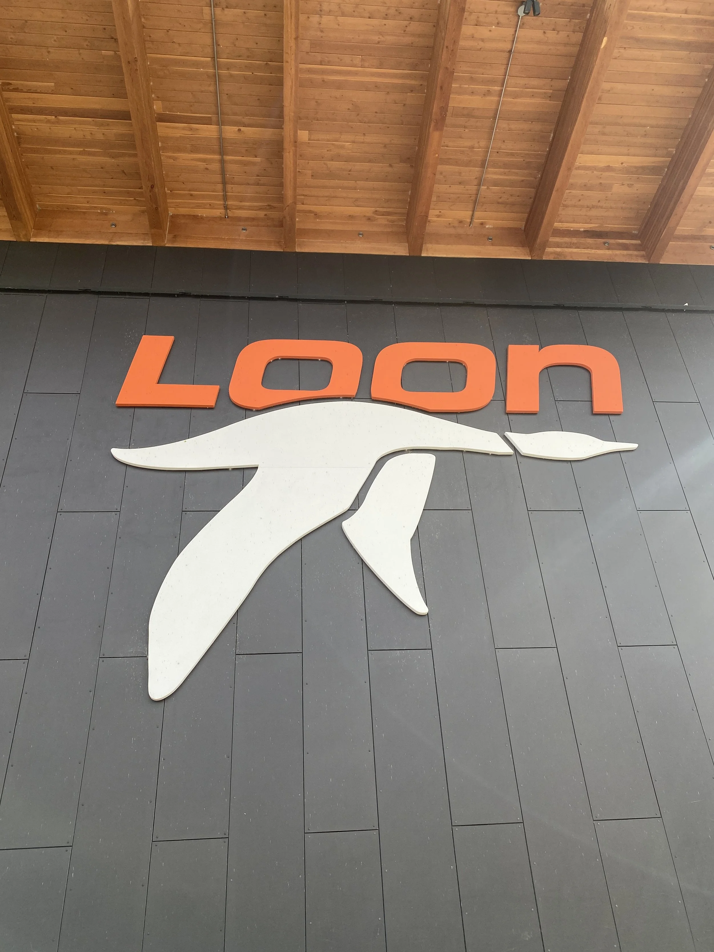 DOES LOON REALLY SUCK? I FOUND OUT SO YOU DON’T HAVE TO 