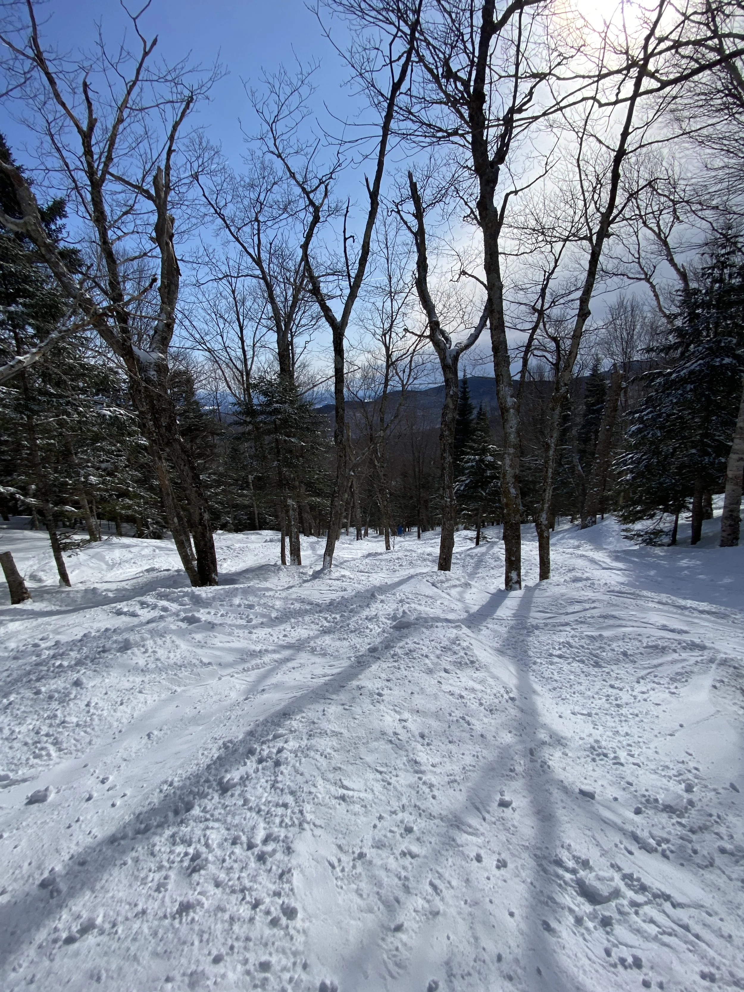 THE WOODS STILL HAVE THE GOODS AT JAY PEAK