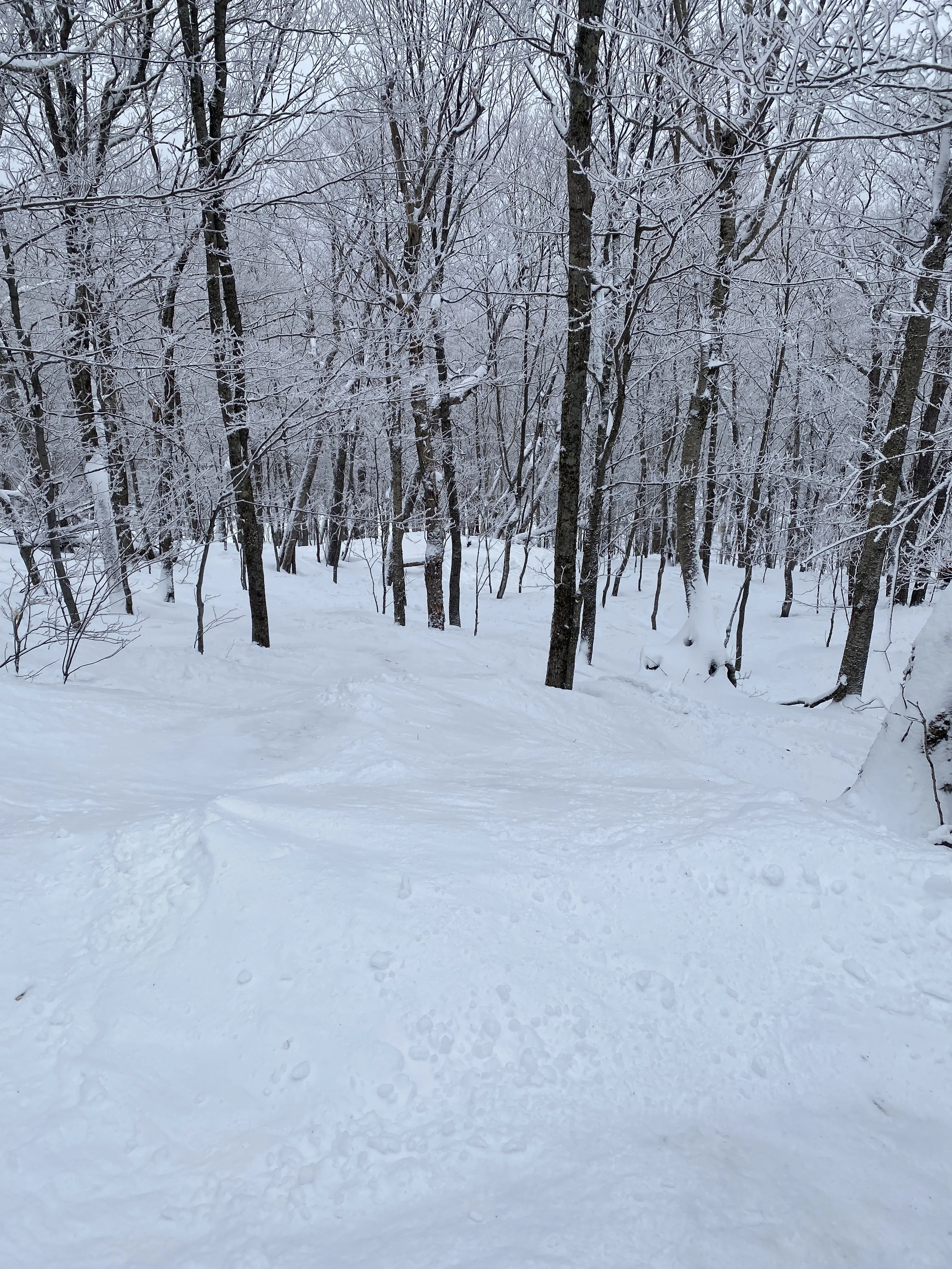 DAY 100 OF MY SKI SEASON