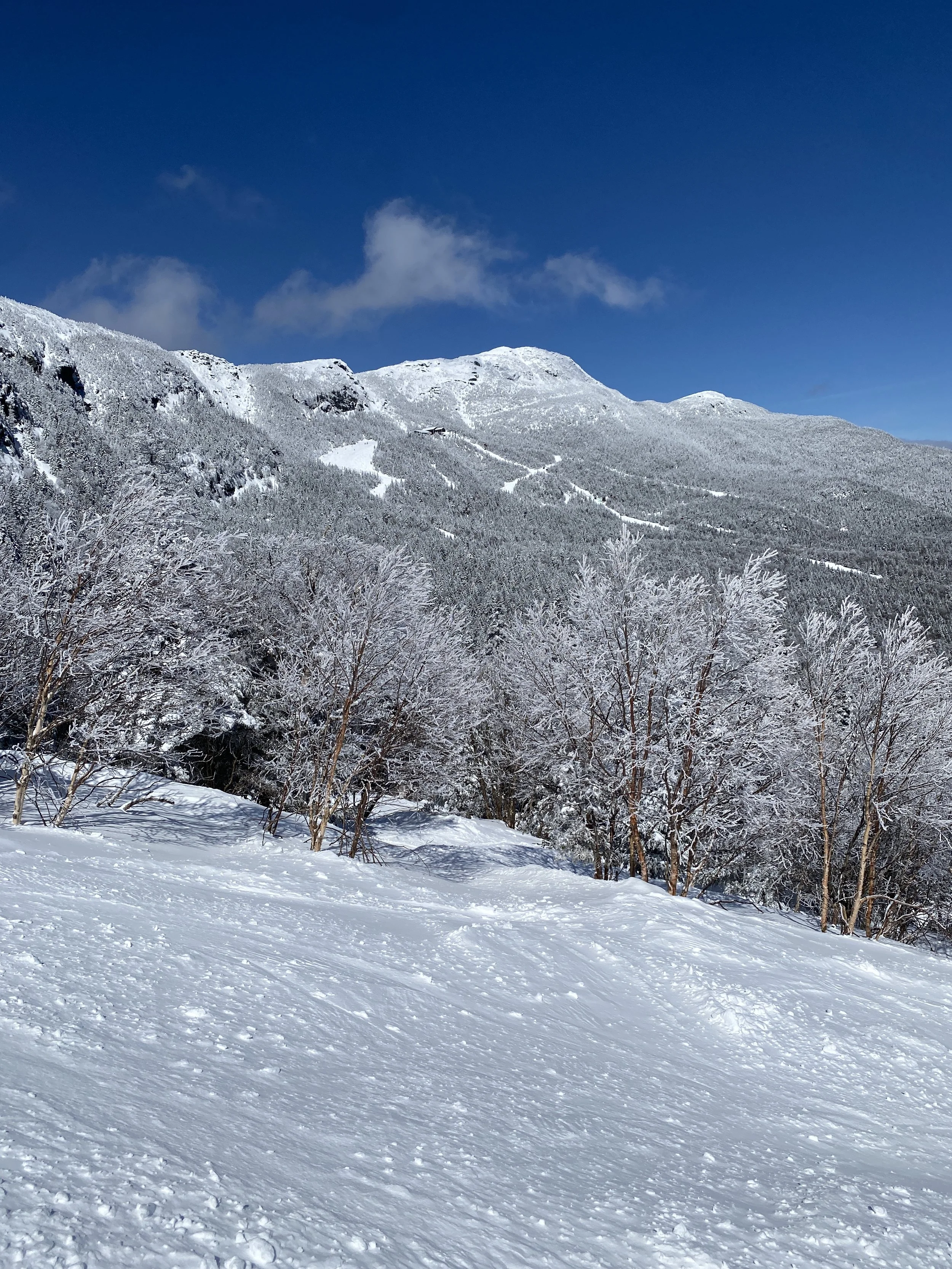 AN EPIC DAY AT STOWE