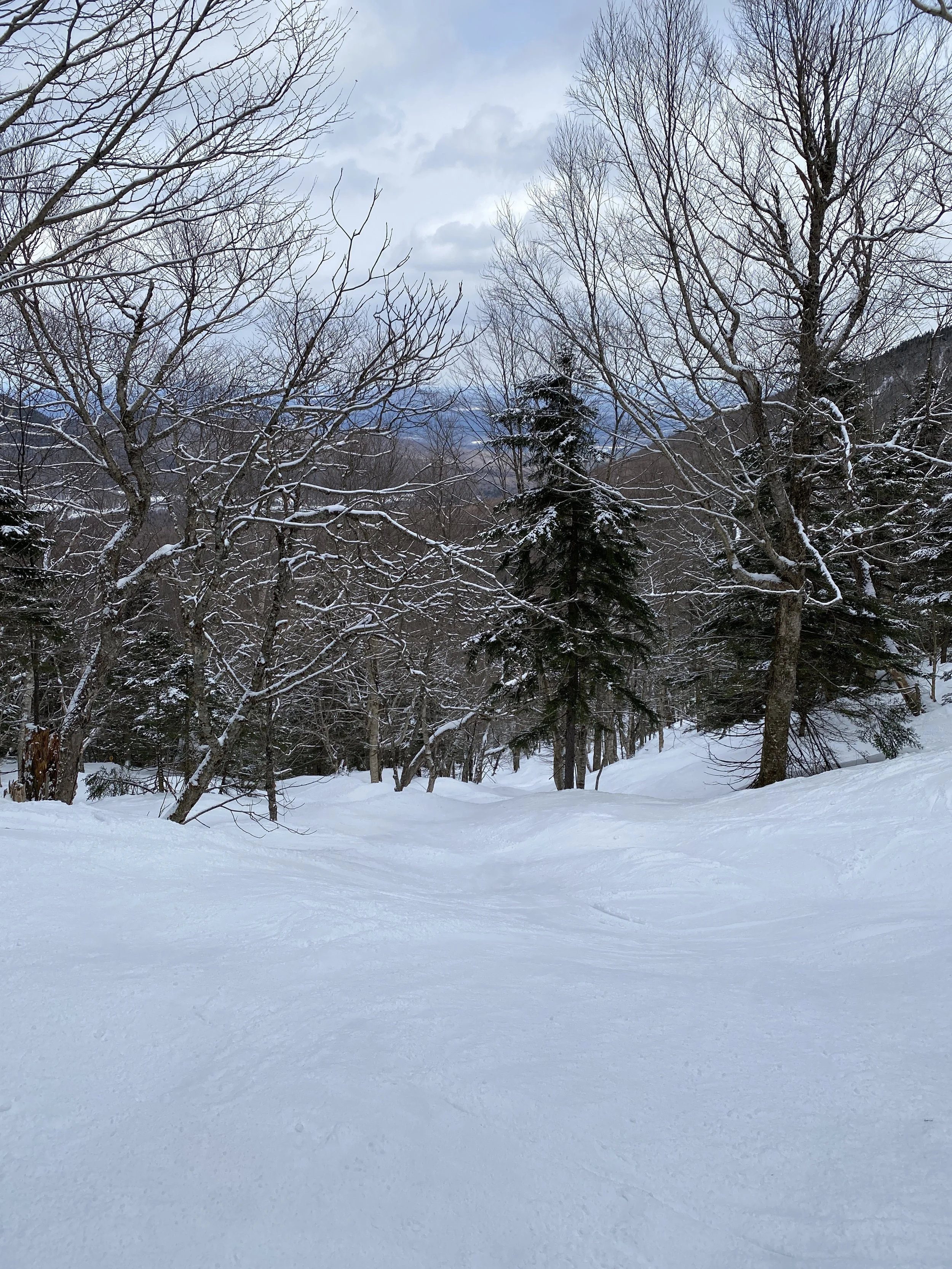 FAST AND FIRM DAY IN THE WOODS AT JAY PEAK