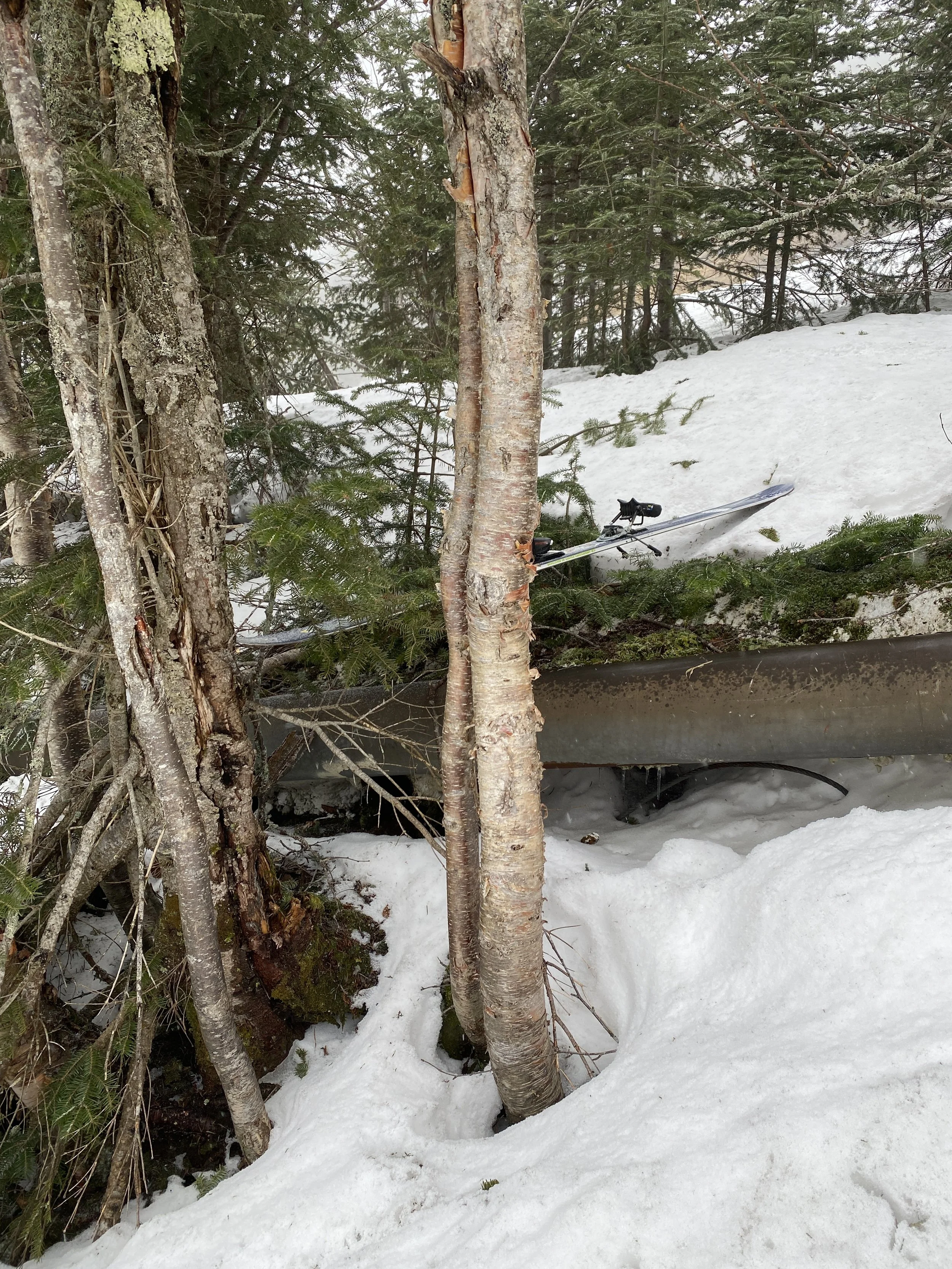 FINDING SOMEONE’S SKI THAT’D BEEN LOST FOR 4 MONTHS